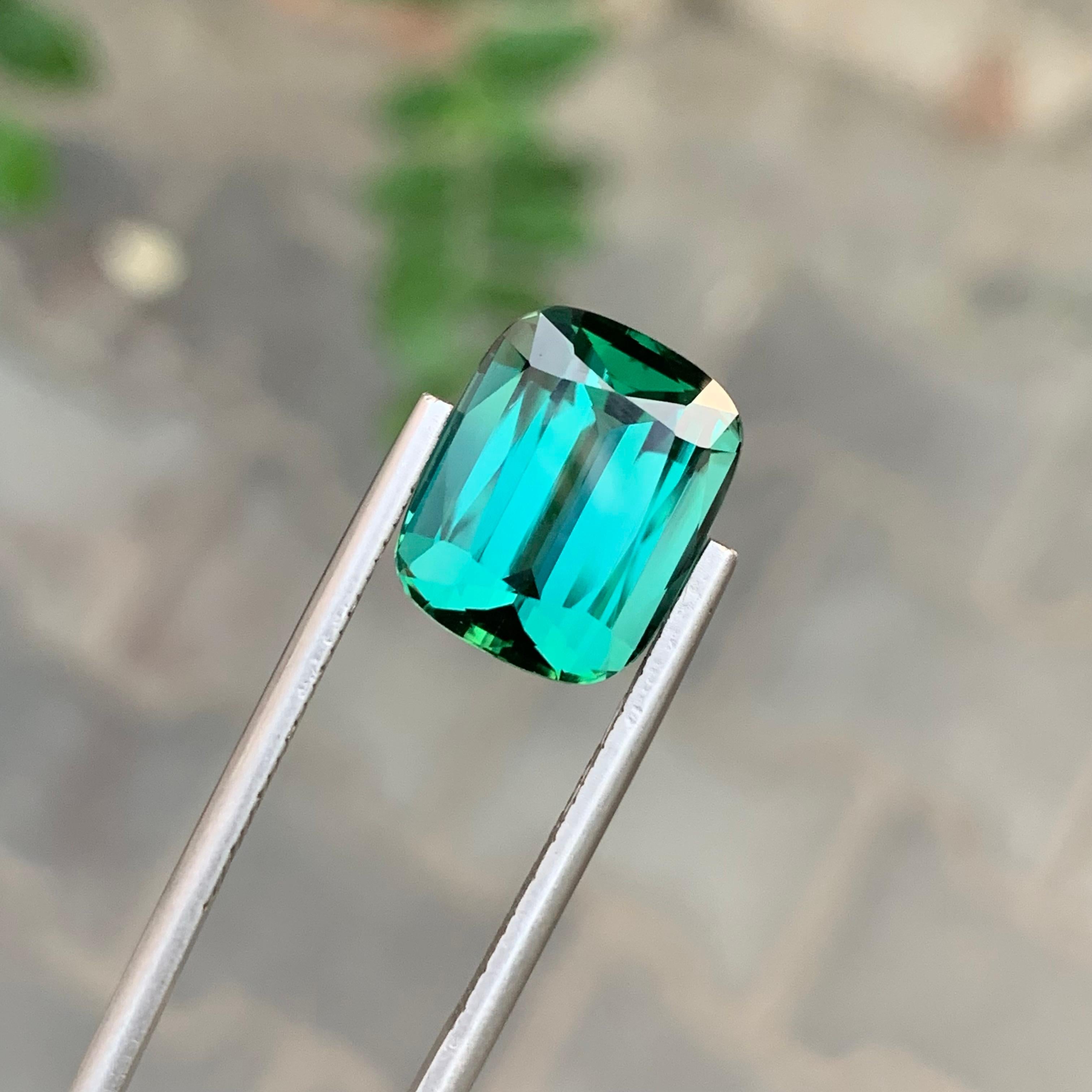 8,80 Quilates Maravillosa Gema Natural Facetada Turmalina Laguna Forma Cojín en venta 3