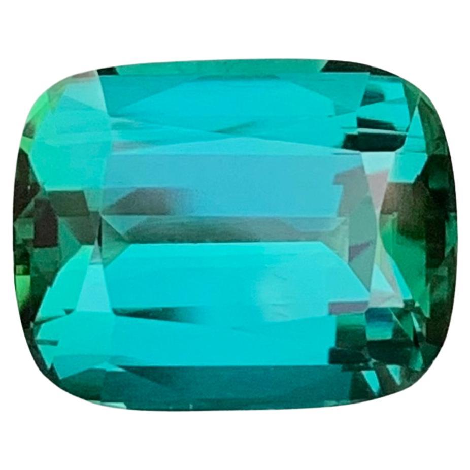 8,80 Quilates Maravillosa Gema Natural Facetada Turmalina Laguna Forma Cojín en venta