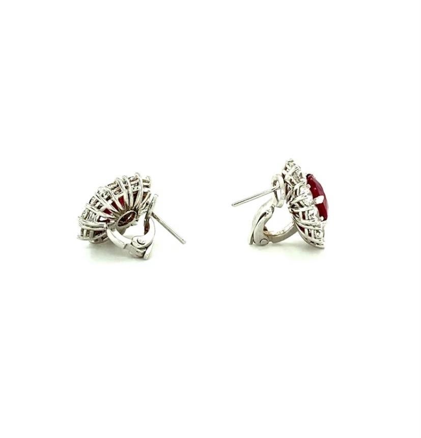 Women's 8.82 Ct Ruby & Diamond Earrings in 18kt White Gold