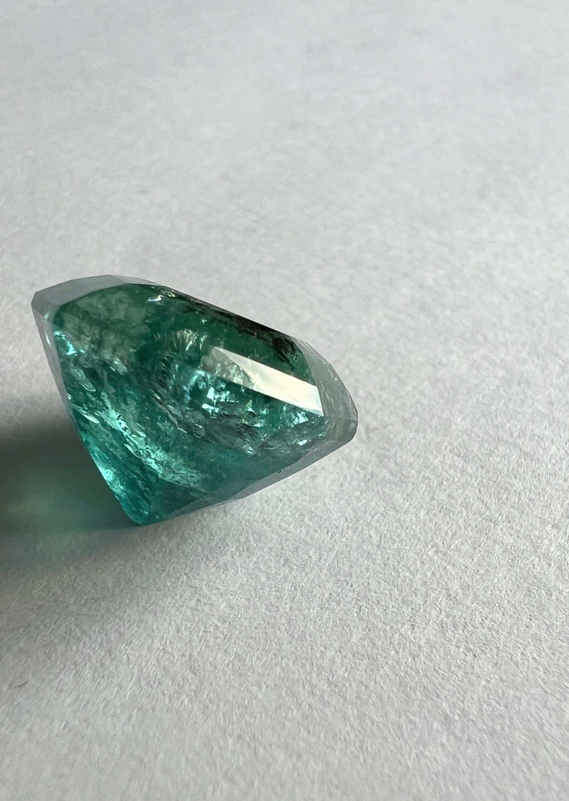 8.85ct Asscher Cut No-Oil Natural Untreated Emerald Gemstone In New Condition For Sale In Sheridan, WY