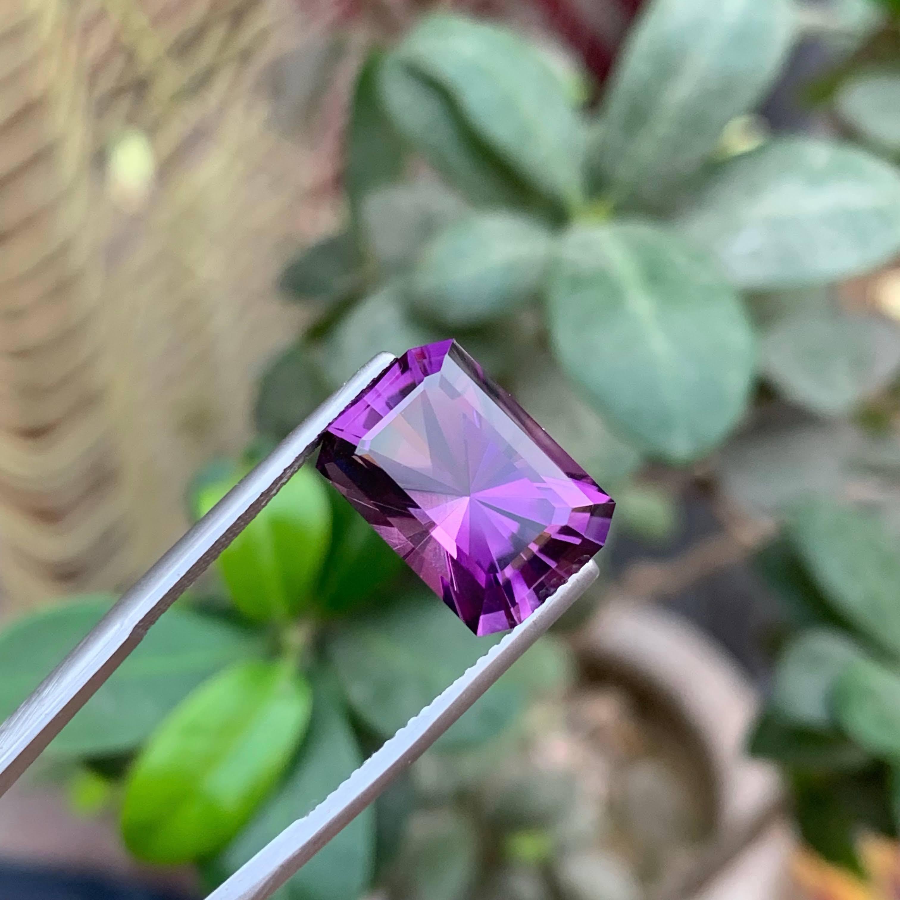 8.95 Carat Natural Loose Royal Purple Amethyst Fancy Faceted Brazilian Gemstone (Améthyste royale violette en vrac à facettes) en vente 3