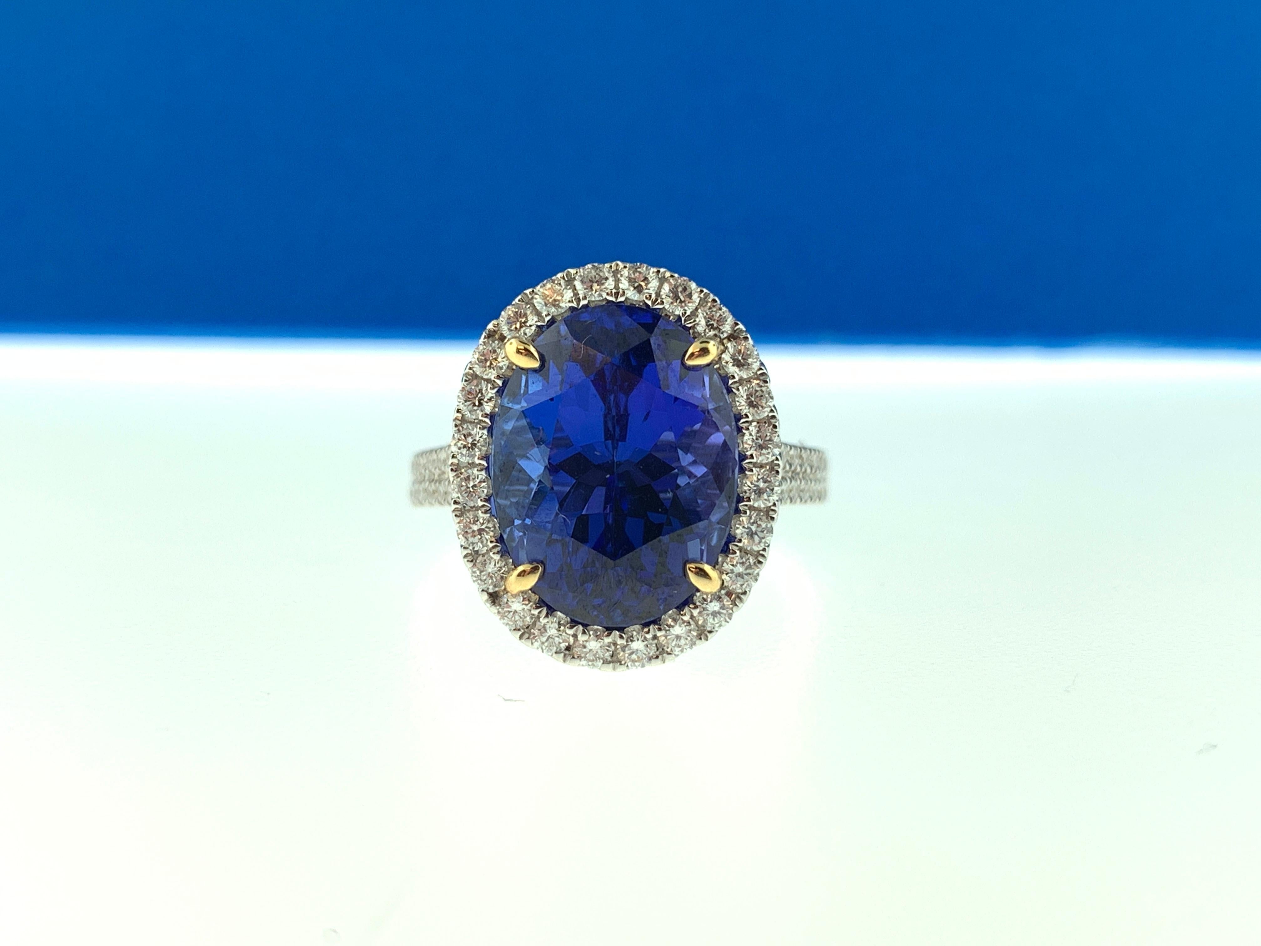 This stunning cocktail ring showcases a beautiful 8.95 carat oval tanzanite with a diamond halo, sitting in a diamond encrusted basket. The ring has a double diamond shank and is set in 18 karat white gold, with 18k yellow gold prongs on the