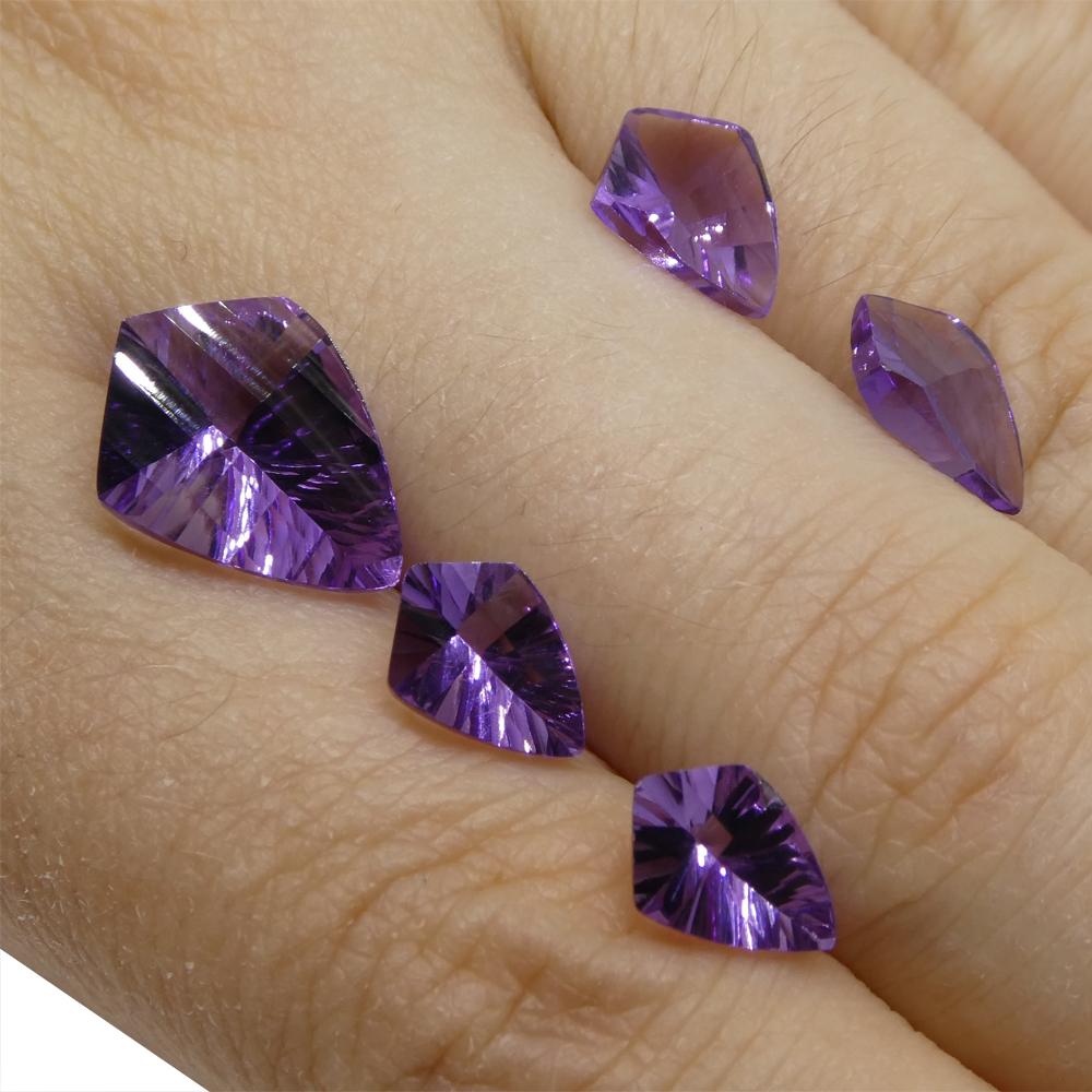 Meet Eleanor our newest fantasy cut, named after Eleanor Roosevelt, who was the longest-serving First Lady of the United States.

 

Description:

Gem Type: Amethyst
Number of Stones: 5
Weight: 8 cts
Measurements: 1x 14.00x10.00mm, 2x 10.00x7.00mm,