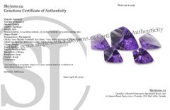8ct Shield Amethyst 'Eleanor' Fantasy/Fancy Cut Set