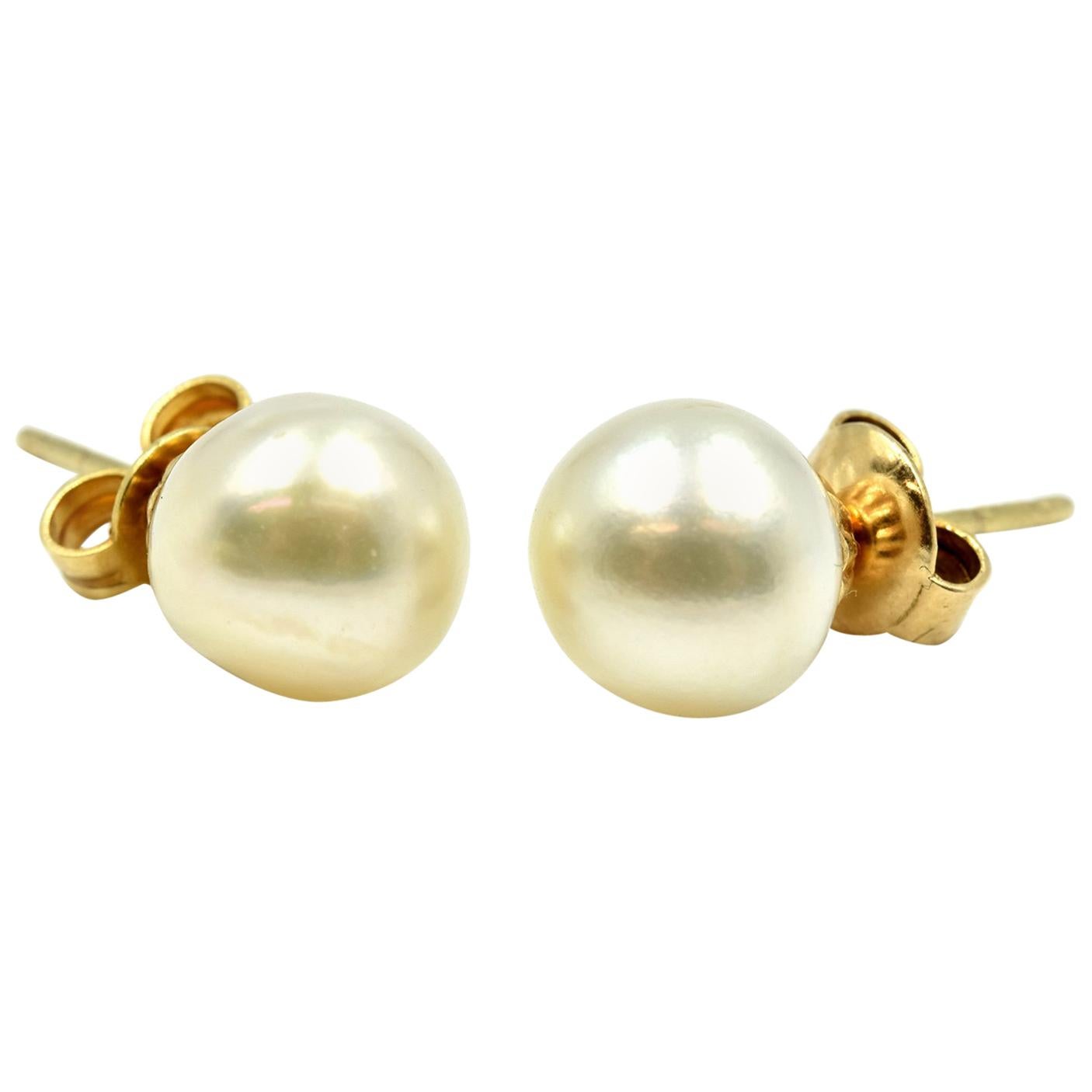 8mm Cultured Pearl Studs 14 Karat Yellow Gold