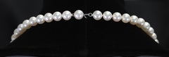 Pearl Necklace with Pearl Clasp