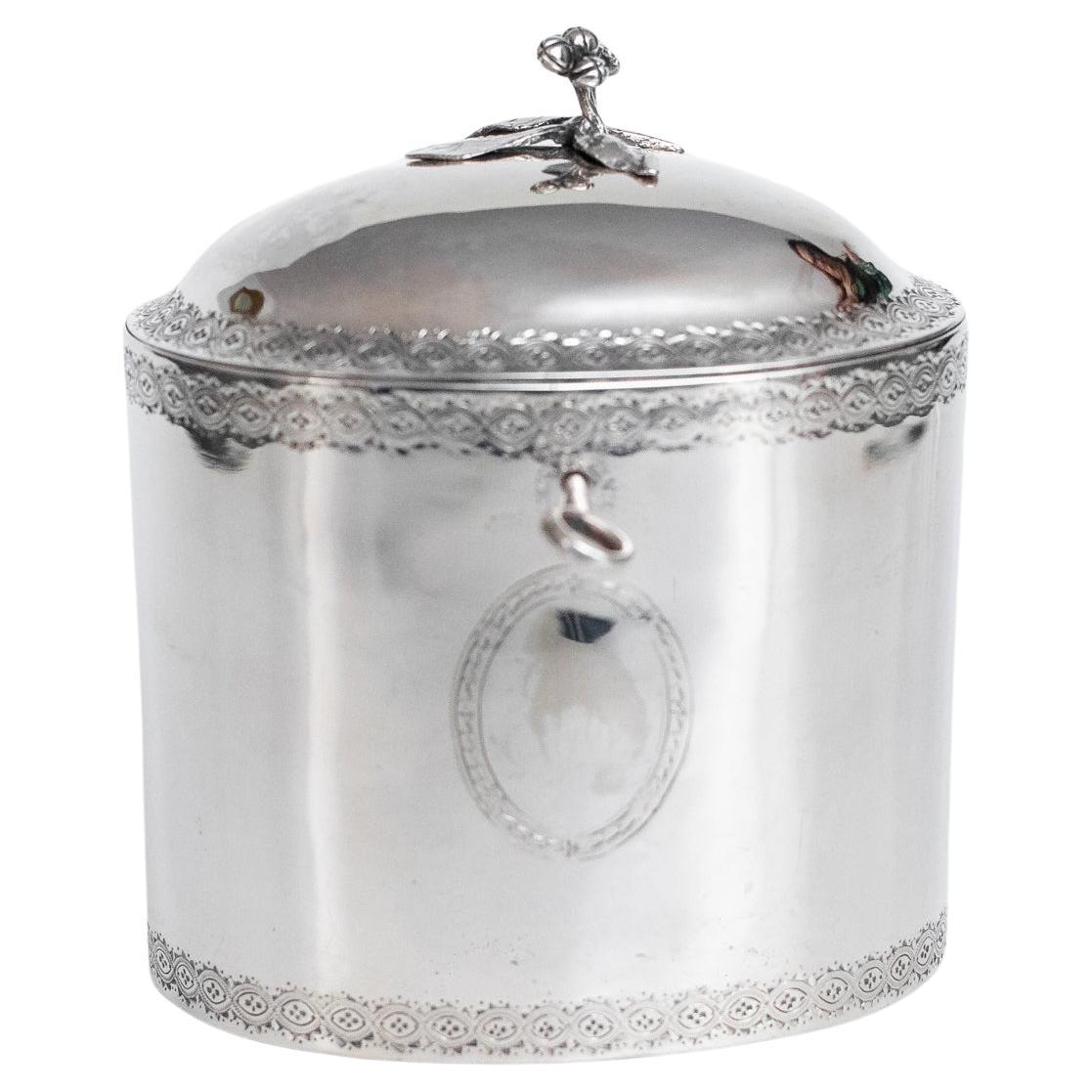 Cucharilla de té del siglo XVIII Jorge III Plata de ley Inglaterra Londres