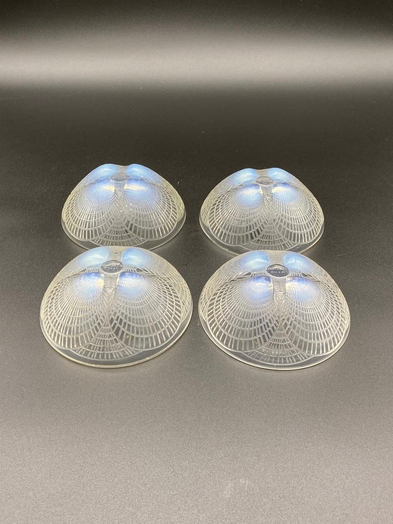 9 Art Deco Rene Lalique Coquilles Glass Bowls 1