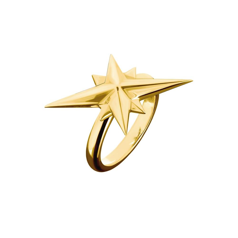 9ct yellow gold ring
Hallmarked
Available in UK size M / N / O / P

Whilst this ring might not always point due north, it is guaranteed to bring a touch of star-studded sparkle to any ensemble. Hand-crafted in 9ct yellow gold, this distinctive,