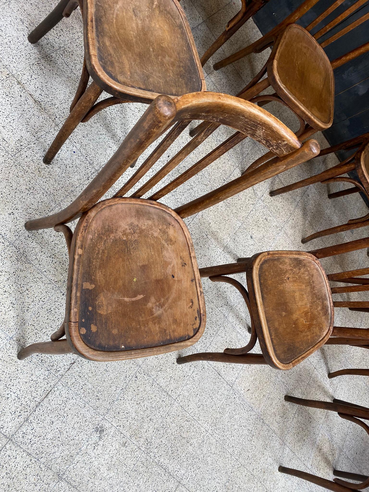 9  Chairs in the Thonet Style, circa 1930 In Good Condition For Sale In Saint-Ouen, FR
