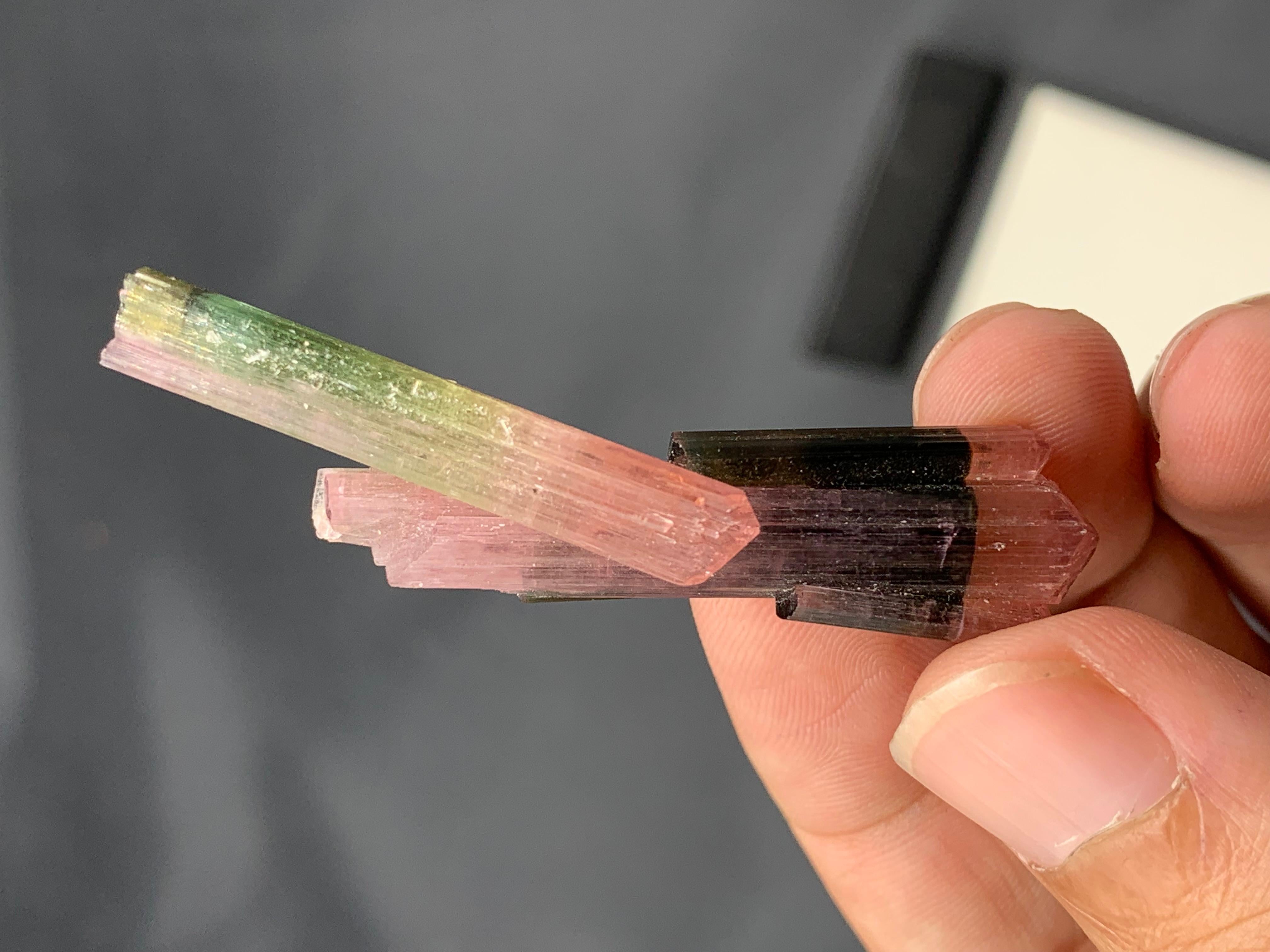 9 grammi di tormalina rosa e verde bi-colore dall'Afghanistan in vendita 3