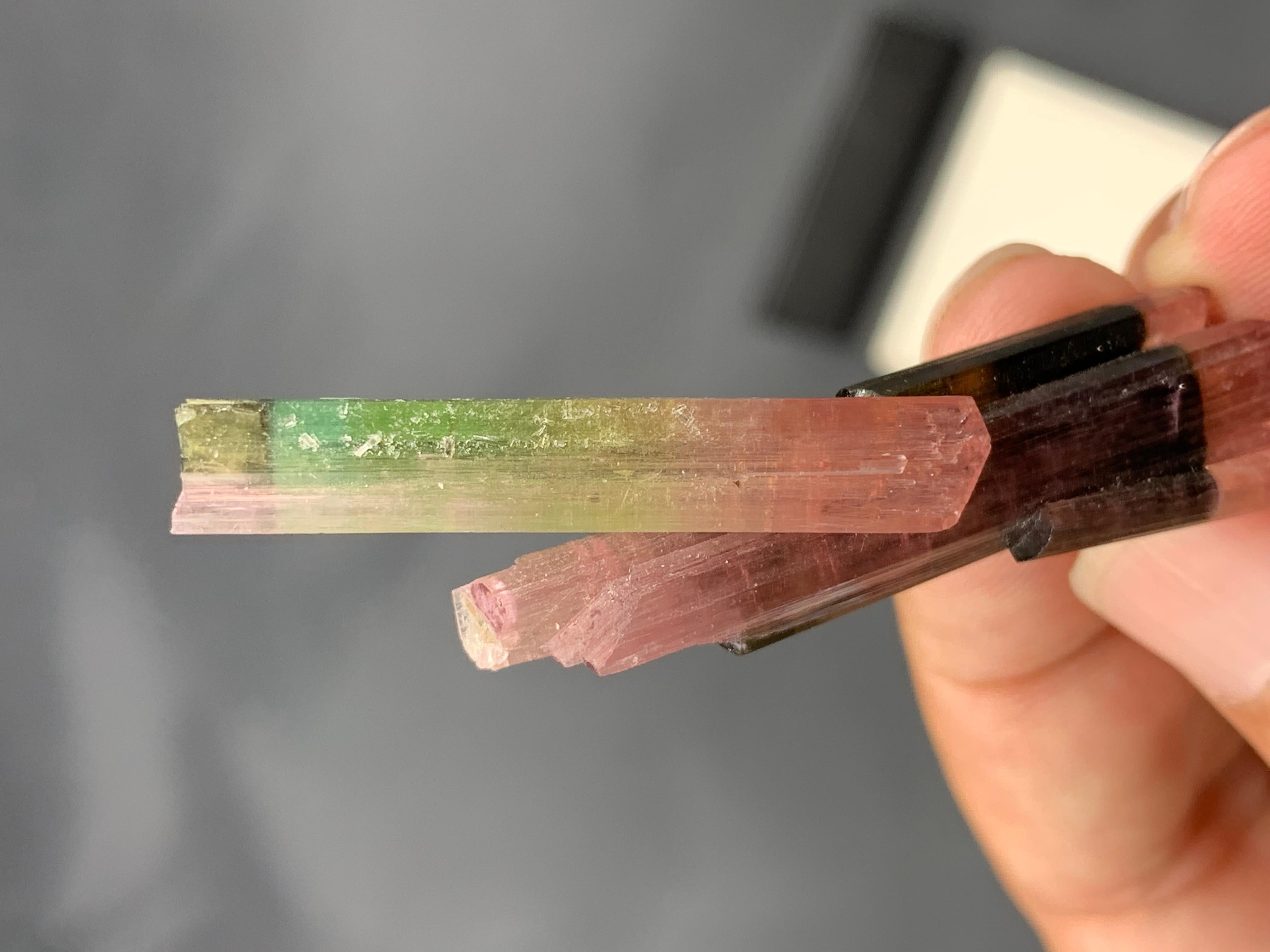 9 grammi di tormalina rosa e verde bi-colore dall'Afghanistan in vendita 4