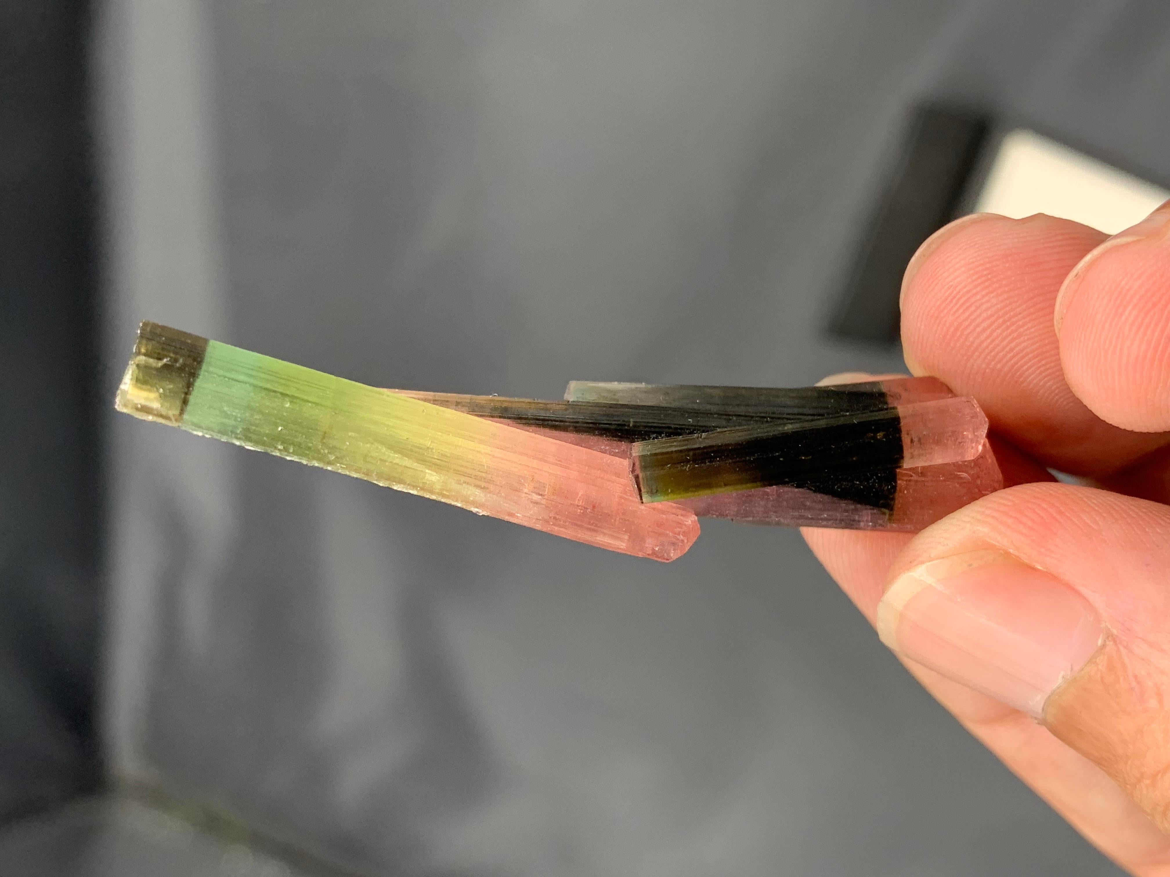 9 grammi di tormalina rosa e verde bi-colore dall'Afghanistan in vendita 6
