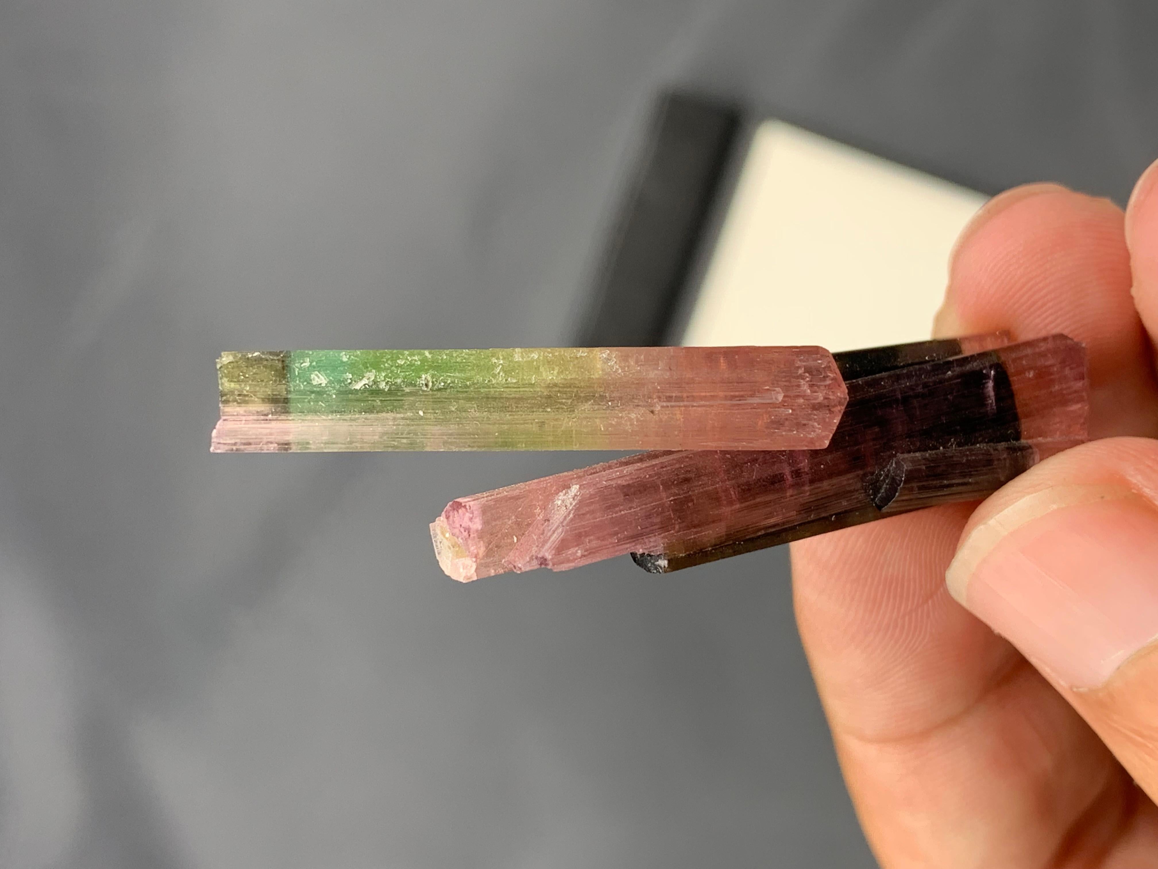 Stile Adam 9 grammi di tormalina rosa e verde bi-colore dall'Afghanistan in vendita