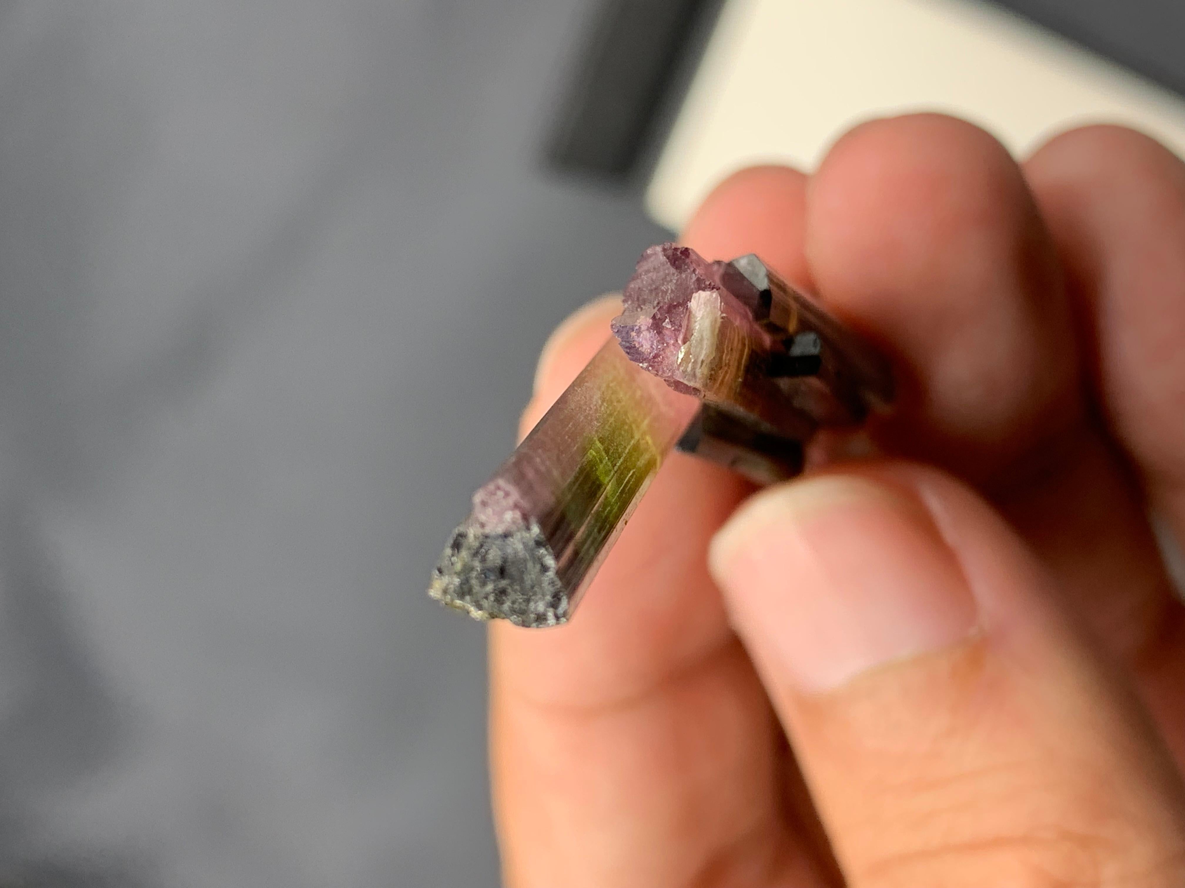 9 grammi di tormalina rosa e verde bi-colore dall'Afghanistan In condizioni buone in vendita a Peshawar, PK