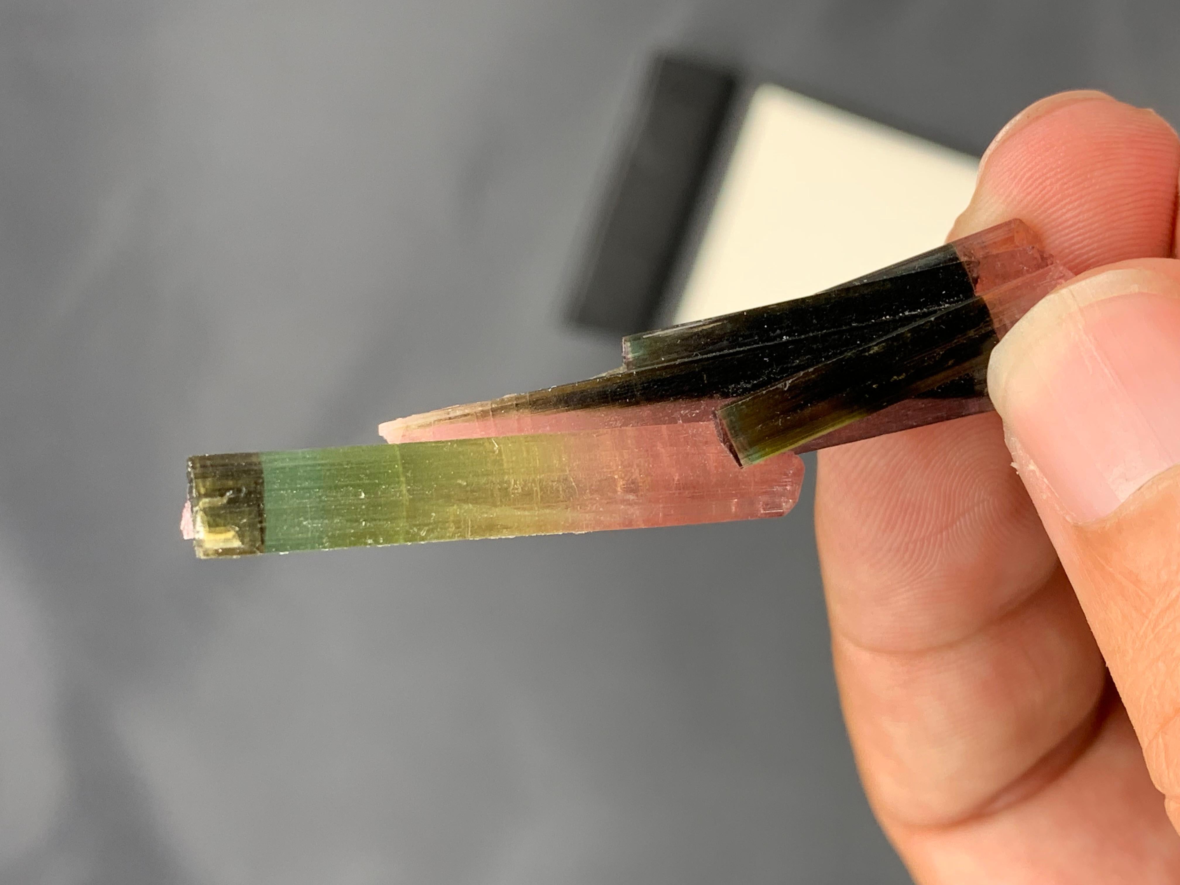 XXI secolo e contemporaneo 9 grammi di tormalina rosa e verde bi-colore dall'Afghanistan in vendita