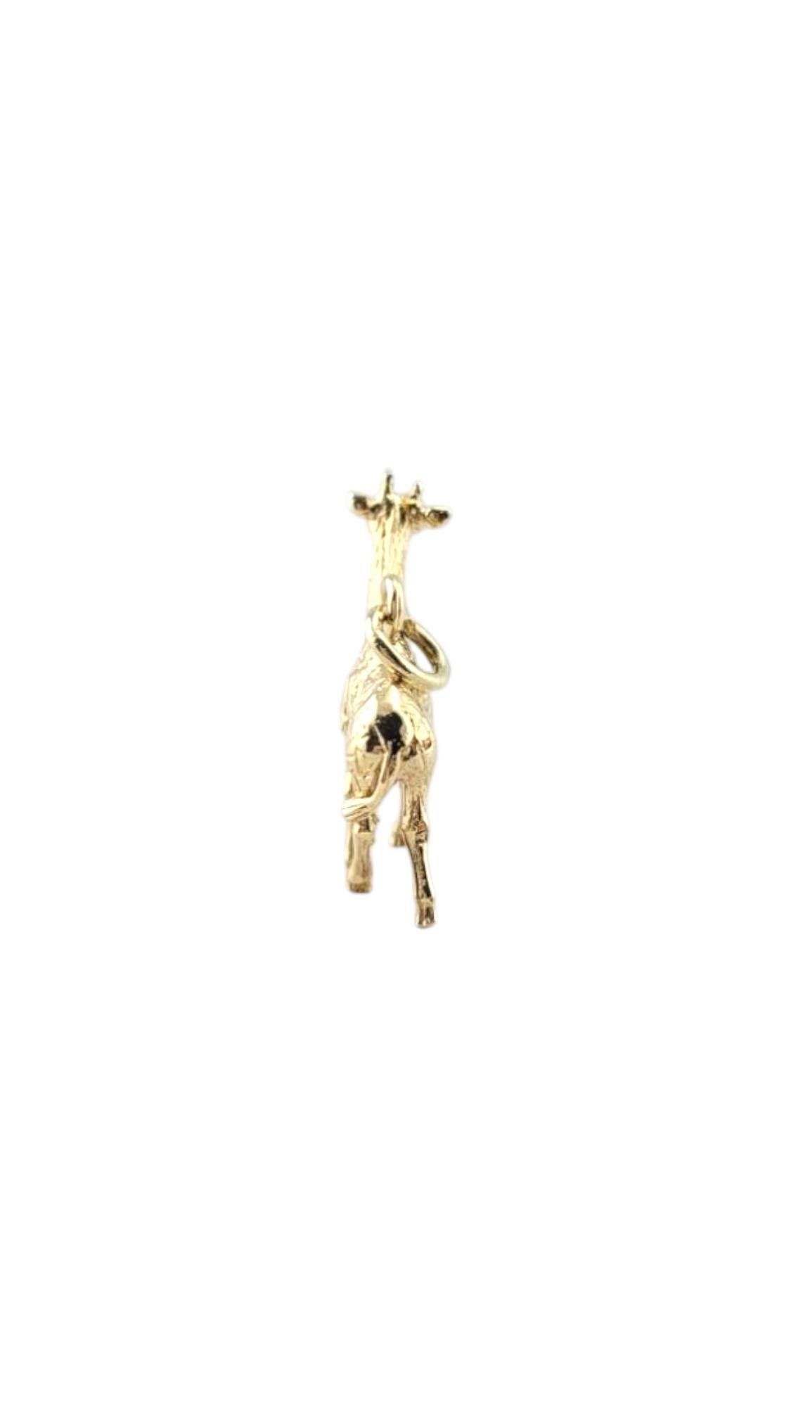 Breloque Girafe en or jaune 9 carats-

Breloque Girafe en or jaune 9 carats - Ce charmant pendentif en or jaune 9 carats est orné d'une girafe aux détails magnifiques. Symbole de grâce, d'unicité et de force, cette breloque ajoute une touche ludique