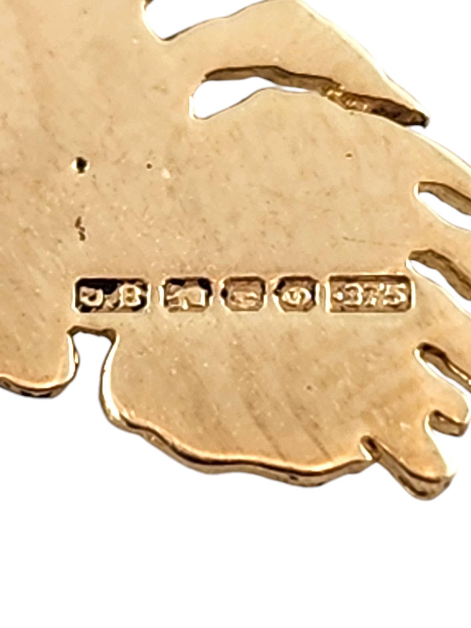 9 Karat Yellow Gold Ireland Charm #18816 2