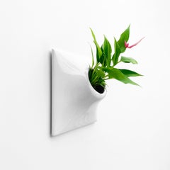 Modern Ceramic Wall Planter, Living Wall Decor, Plant Wall Art, Node 9" Medium