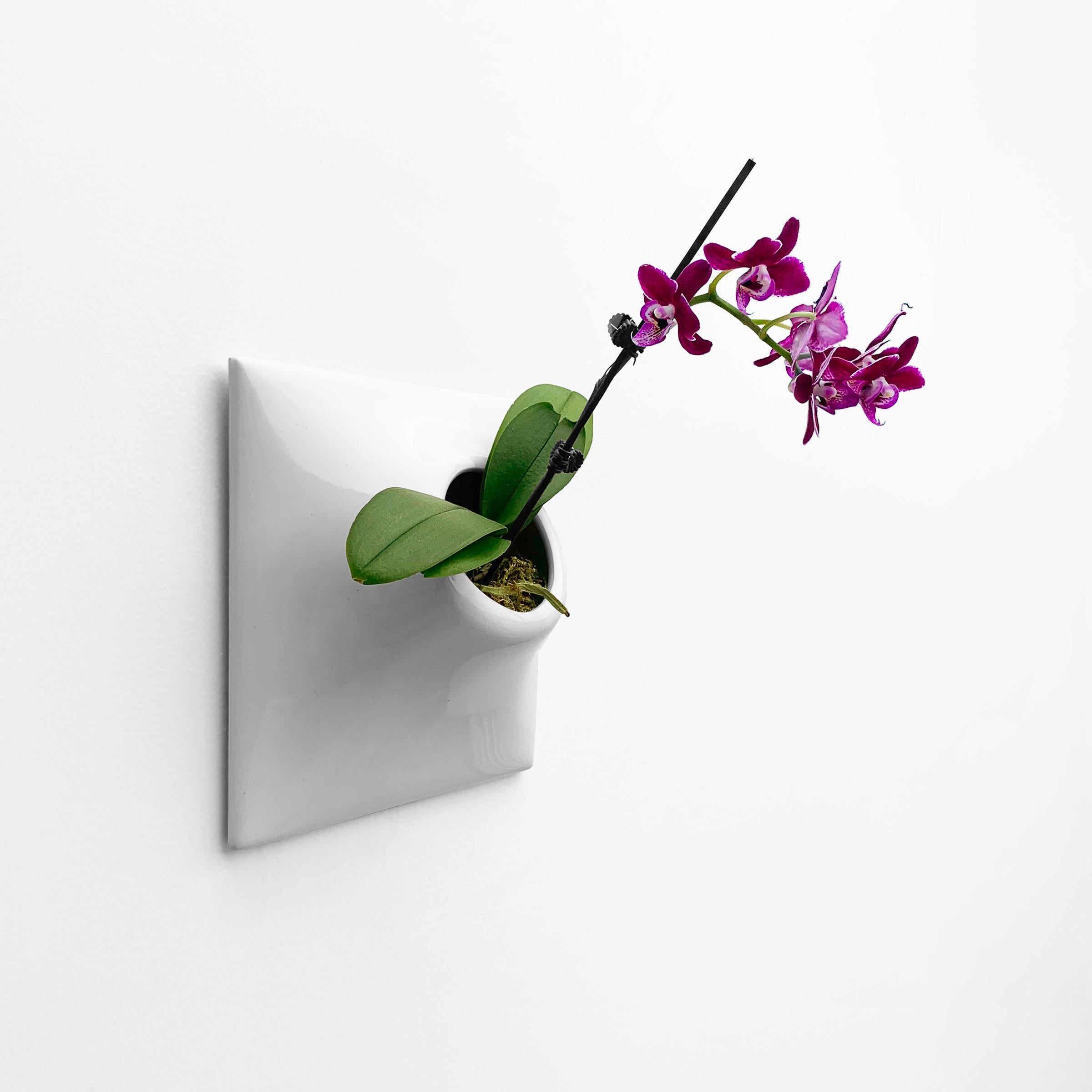 ceramic wall planters outdoor