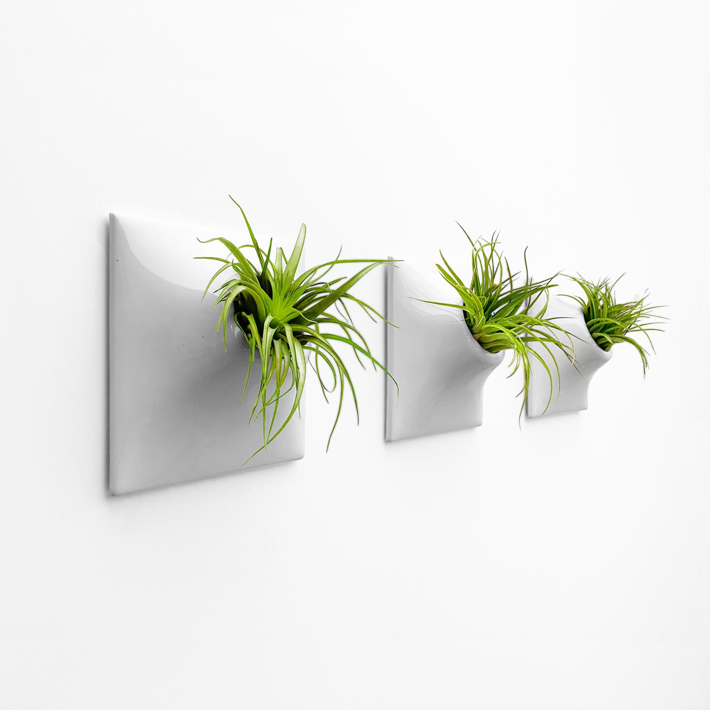 Modern Ceramic Wall Planter, Living Wall Decor, Plant Wall Art, Node 9