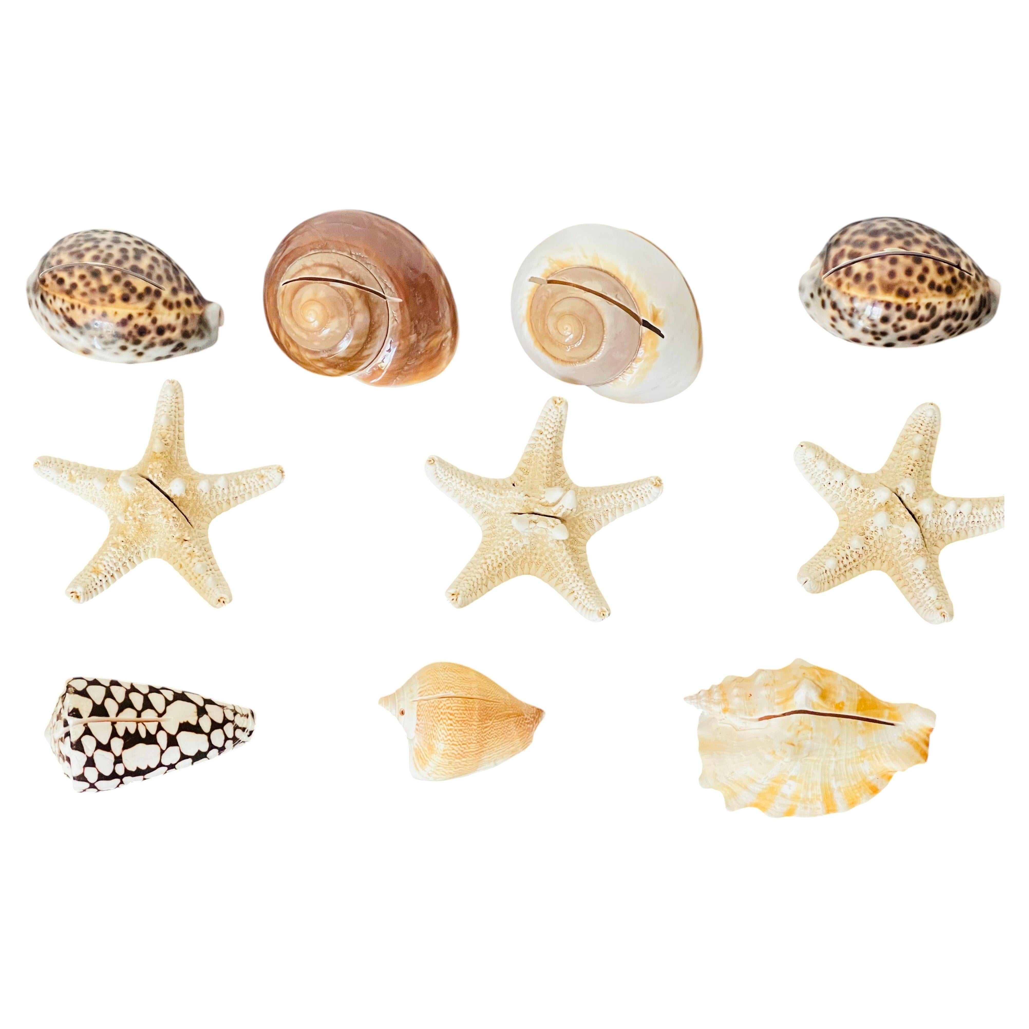 10 S Sea Shells Place Card Holders Coastsl Wedding Decor For Sale
