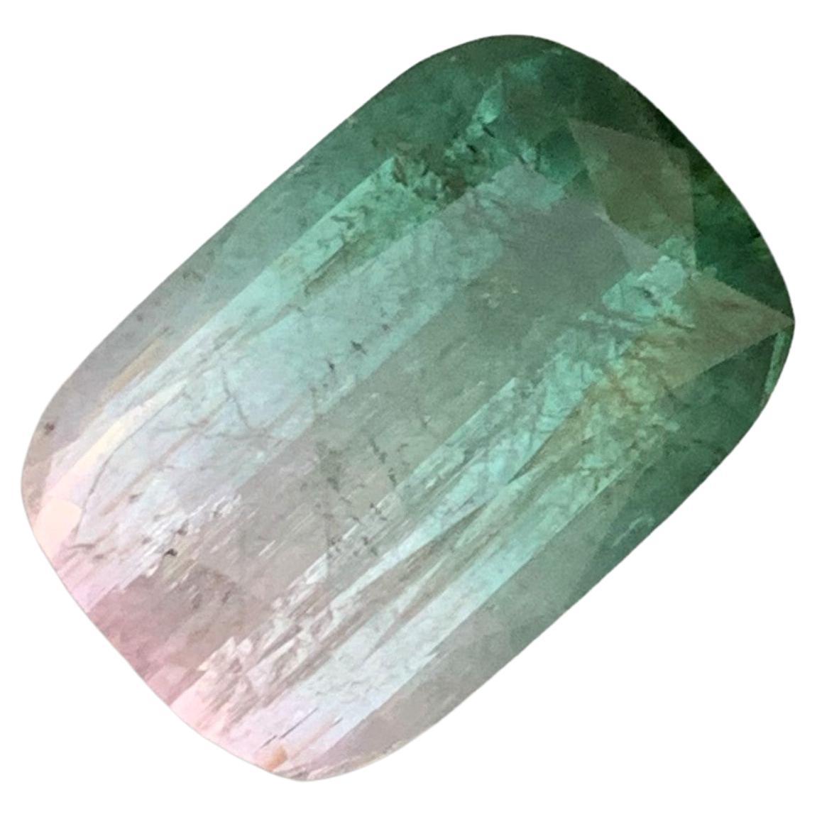 9.0 Carat Natural Loose Watermelon Tourmaline Cushion Cut with Rutille Inclusion For Sale