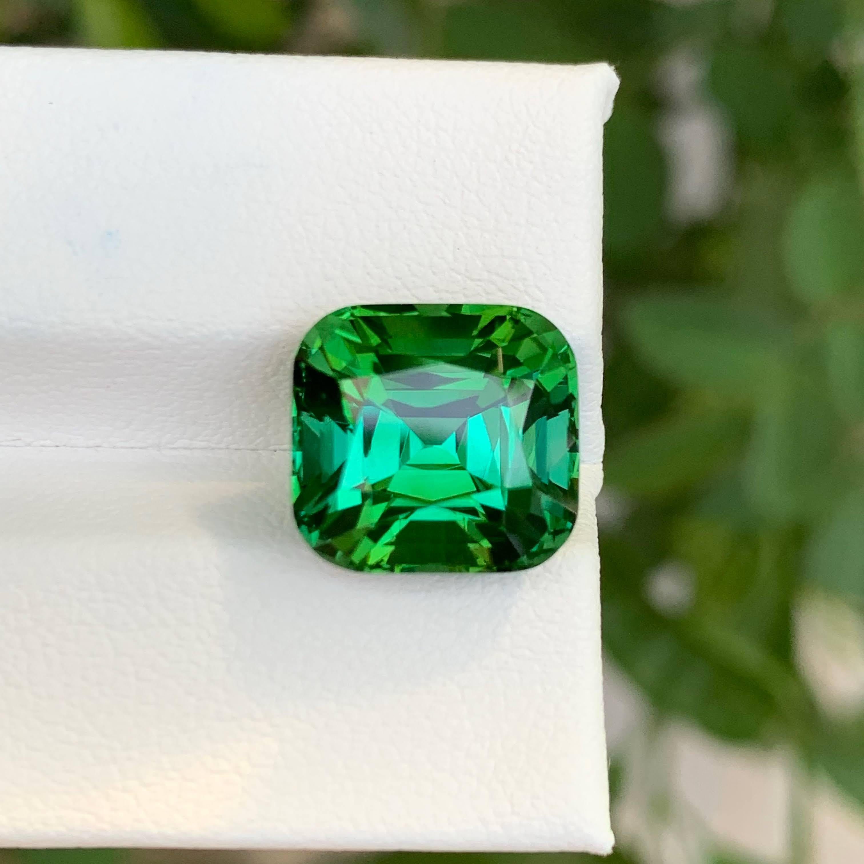 Tourmaline naturelle afghane bleu verdâtre taille coussin de 9,00 carats Neuf - En vente à Bangkok, TH