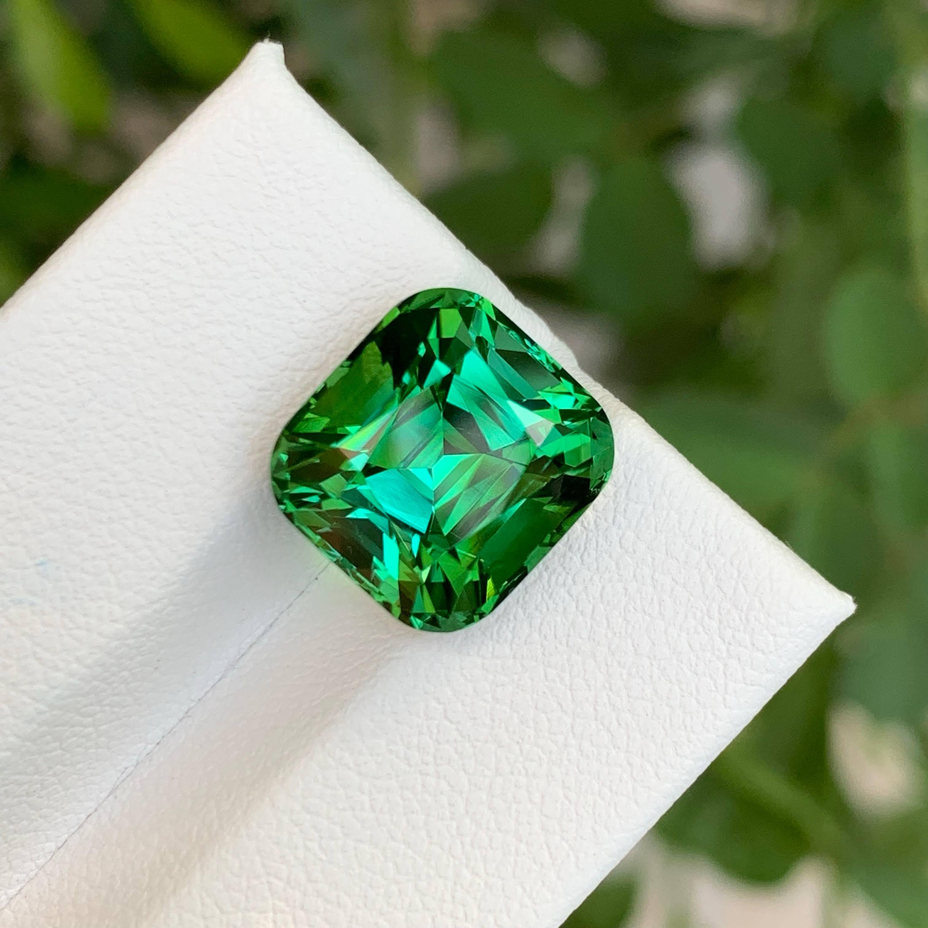Tourmaline naturelle afghane bleu verdâtre taille coussin de 9,00 carats Unisexe en vente