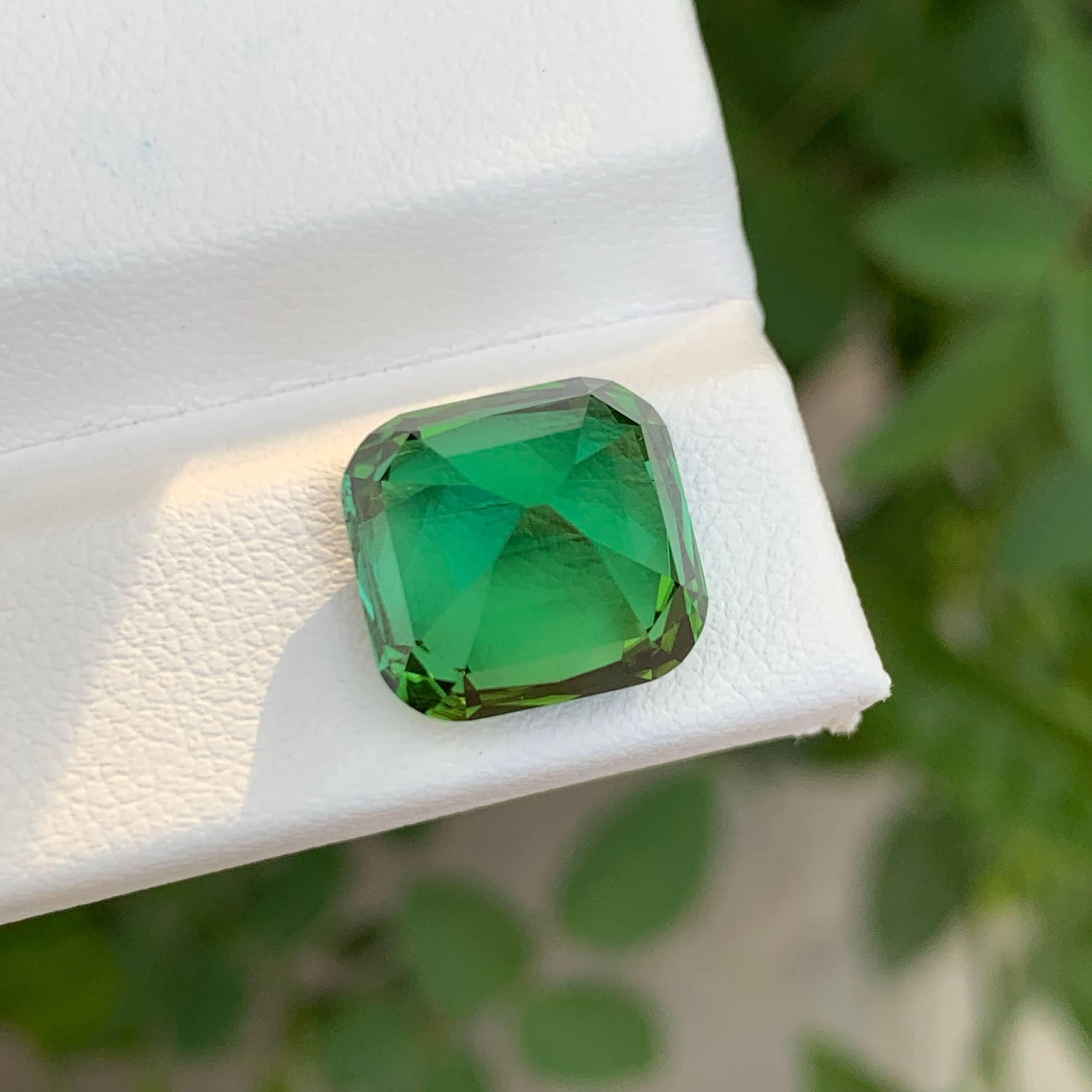 Tourmaline naturelle afghane bleu verdâtre taille coussin de 9,00 carats en vente 1
