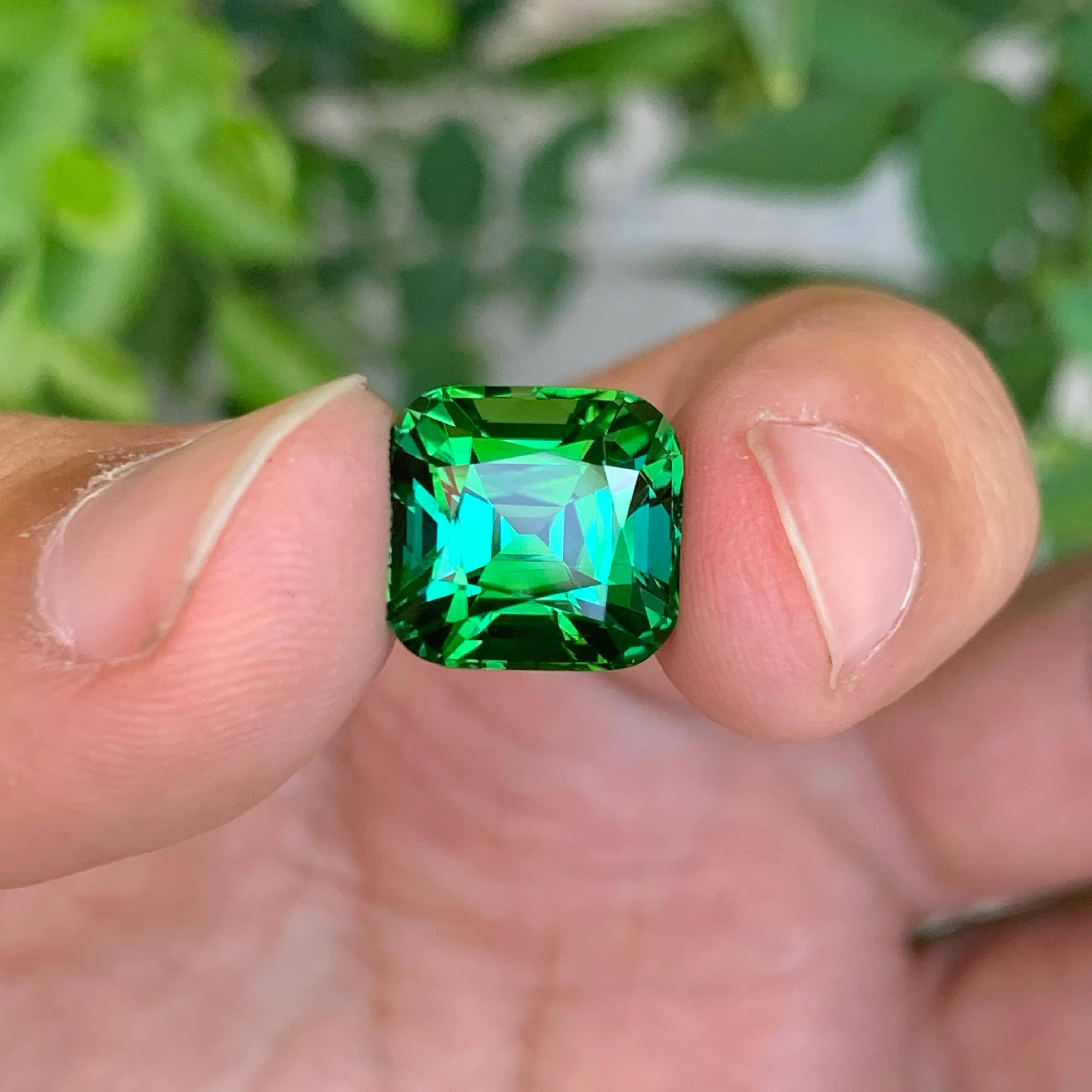 Tourmaline naturelle afghane bleu verdâtre taille coussin de 9,00 carats en vente 2