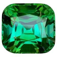 9.00 carats Greenish Blue Tourmaline Cushion Cut Natural Afghani Gemstone