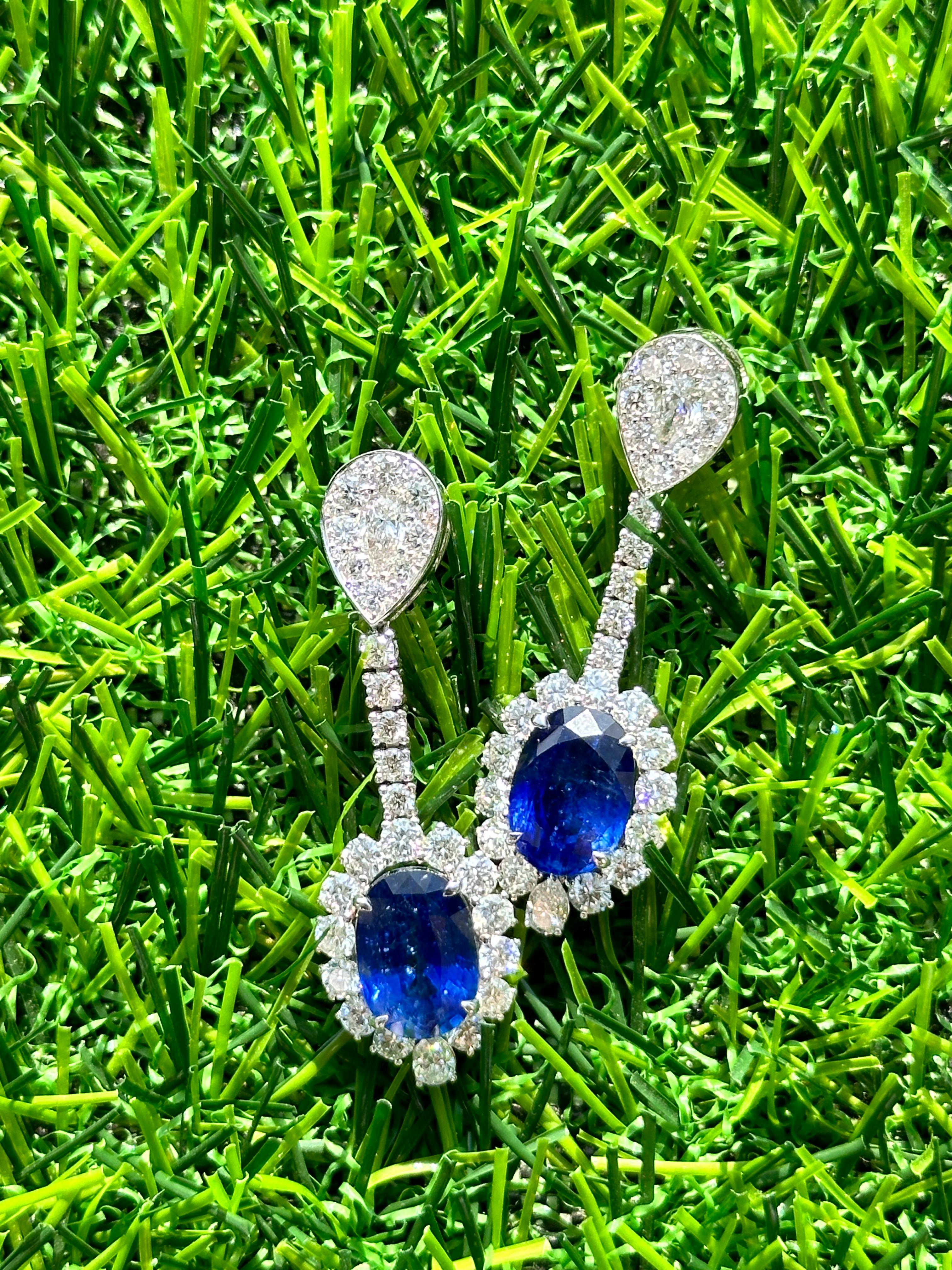 Audaci nei colori, raffinati nel design, questi orecchini con zaffiri e diamanti sono un'espressione di lusso senza tempo.
Con un totale di 9,01 carati di vividi zaffiri blu, gli orecchini affascinano per la loro profondità, brillantezza e fascino