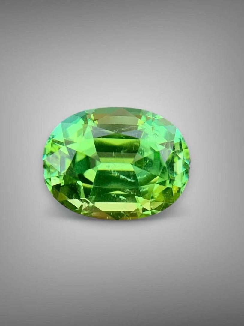 TMA13~ 
Natural Tourmaline Afghanistan gemstone Precision cutting 

Name : Afghanistan  tourmaline 
Weight : 9.01ct 
Color:  Apple Green 
Clarity : 99% Eye Clean / Transparent 
Cutting: Excellent 
Origin: Afghanistan 
Treatment : Natural No heat