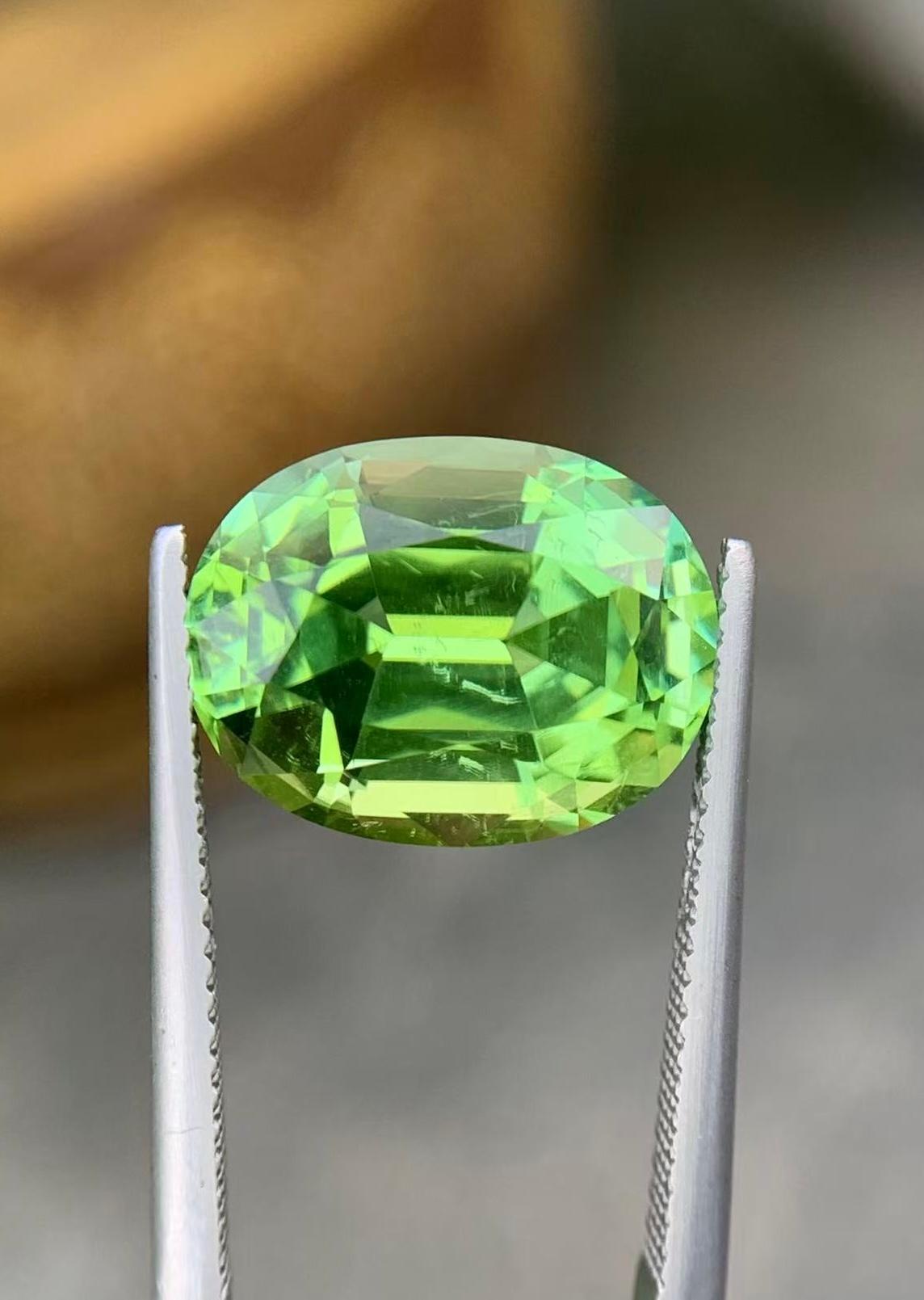9.01 Ct Natural Tourmaline Afghanistan gemstone Precision cutting (Brillantschliff) im Angebot