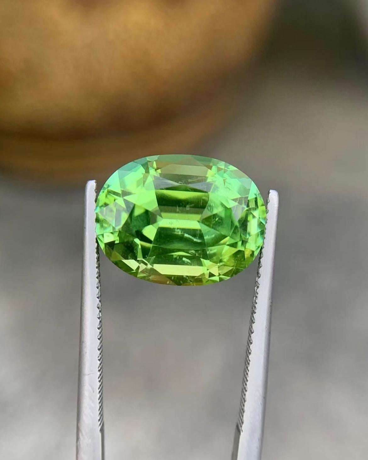 9.01 Ct Natural Tourmaline Afghanistan gemstone Precision cutting im Zustand „Neu“ im Angebot in bangkok, TH