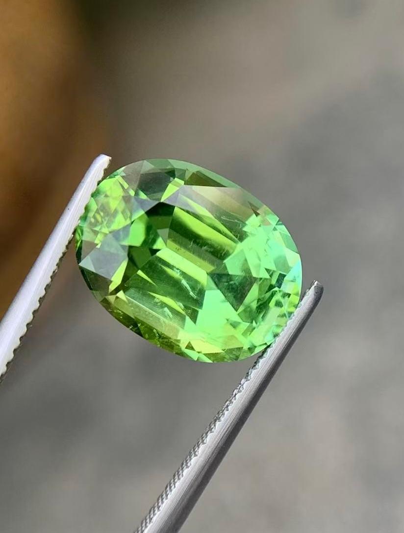 9.01 Ct Natural Tourmaline Afghanistan gemstone Precision cutting für Damen oder Herren im Angebot