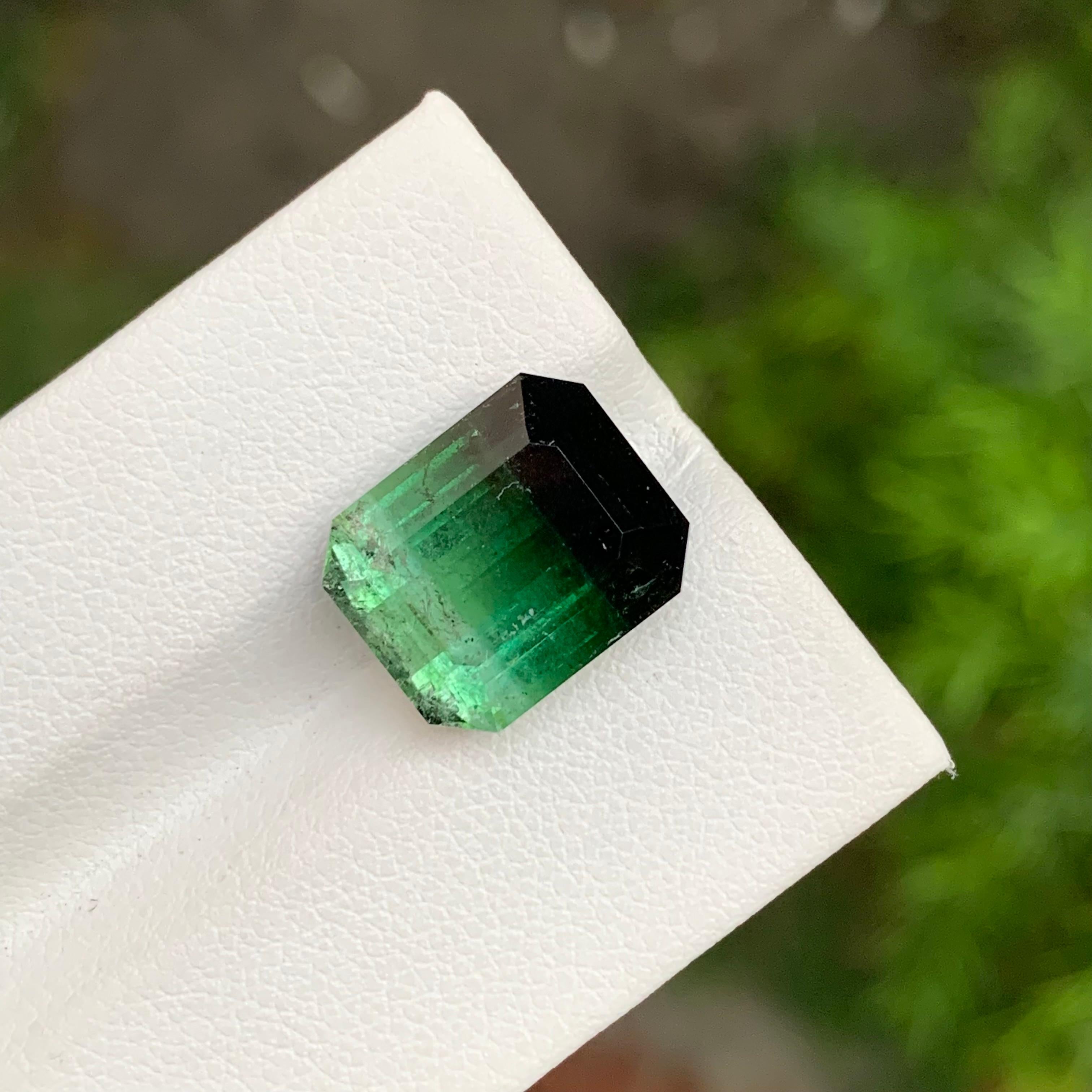 9,05 Karat natürlicher loser dreifarbiger Turmalin in Smaragdform Edelstein im Angebot 5