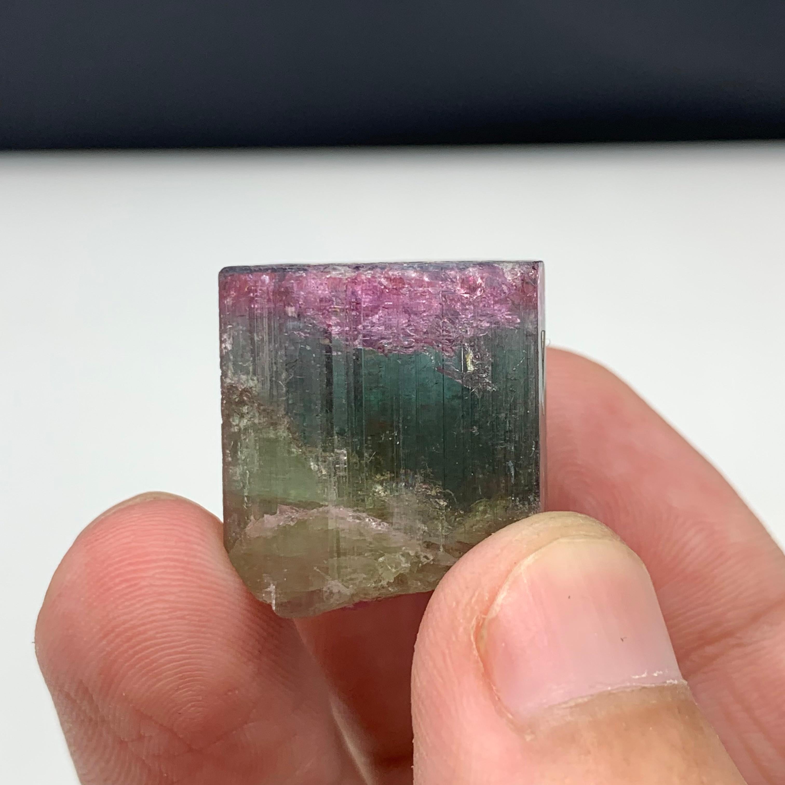 90.50 Carat Beautiful Tri Color Tourmaline Crystal From Afghanistan  For Sale 4