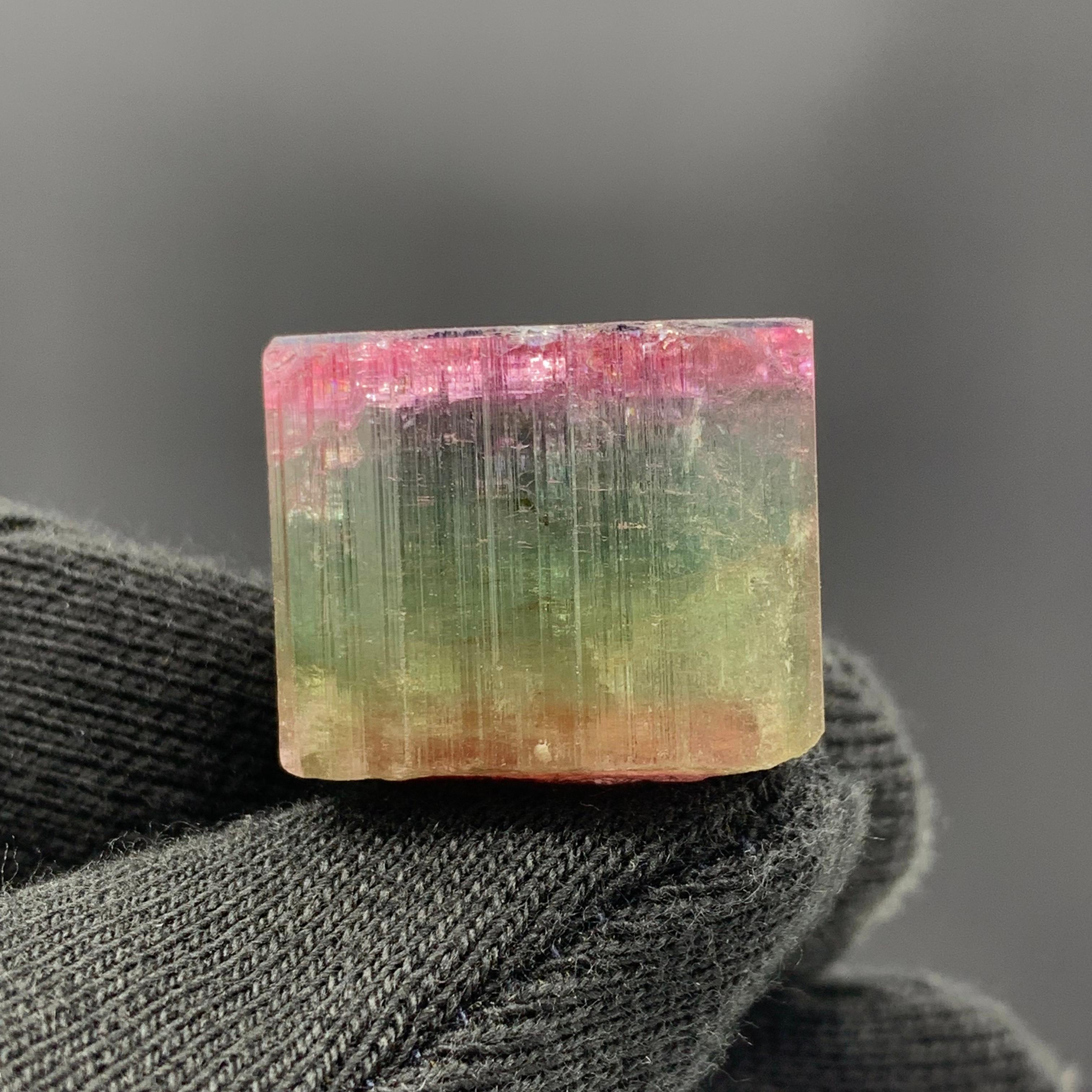 90.50 Carat Beautiful Tri Color Tourmaline Crystal From Afghanistan  For Sale 5