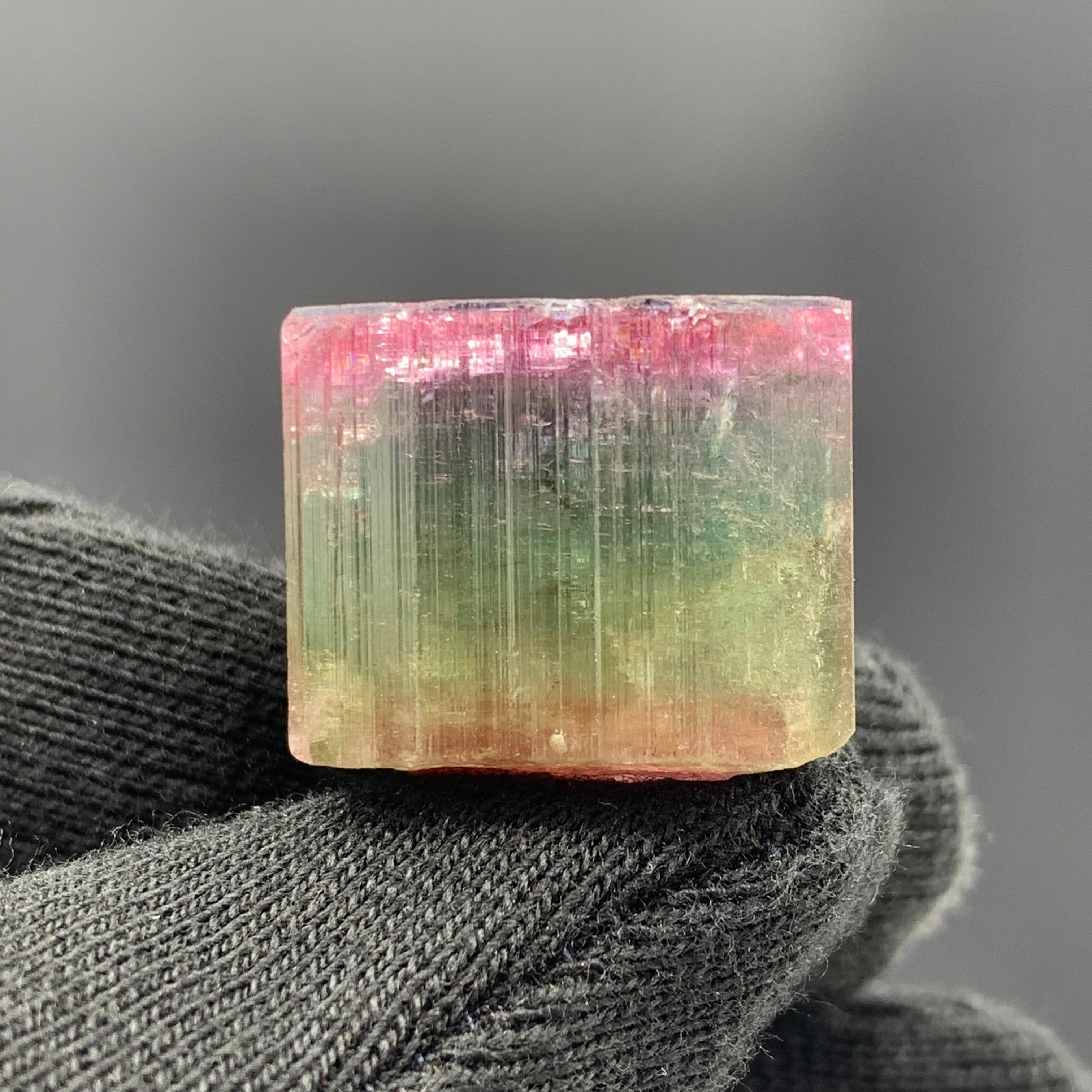 Magnifique cristal de tourmaline tricolore de 90,50 carats d'Afghanistan  en vente 6
