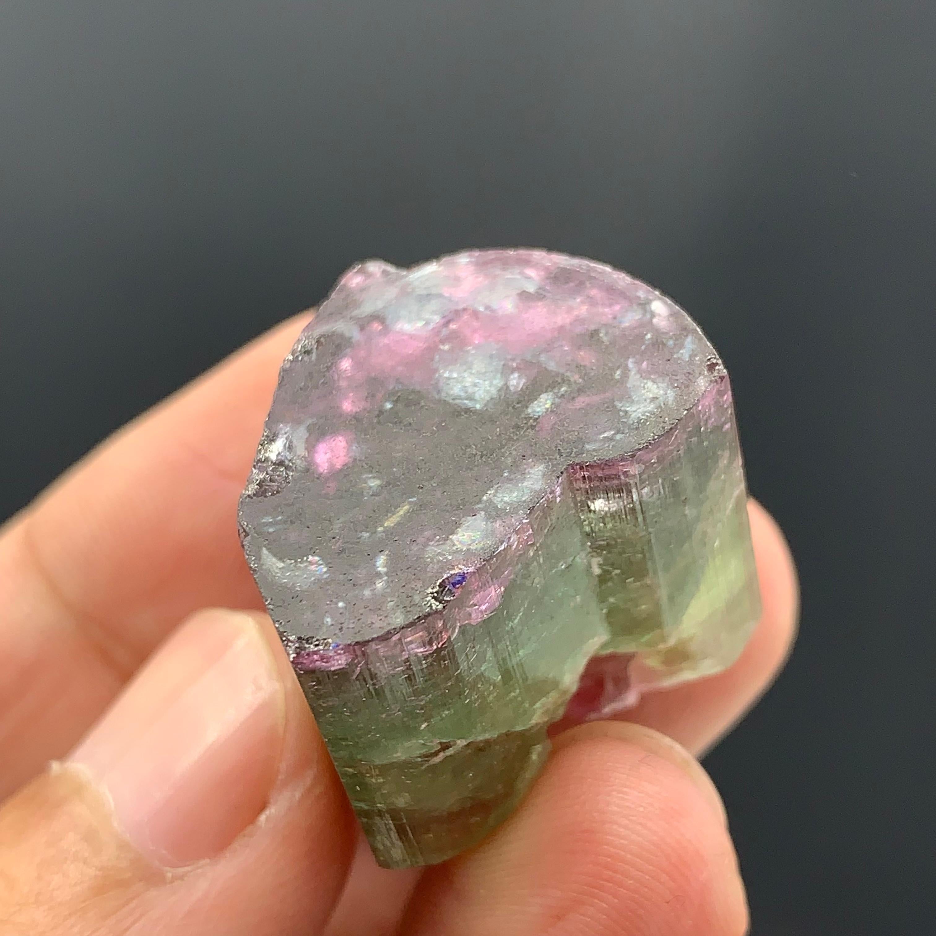 90.50 Carat Beautiful Tri Color Tourmaline Crystal From Afghanistan  For Sale 8