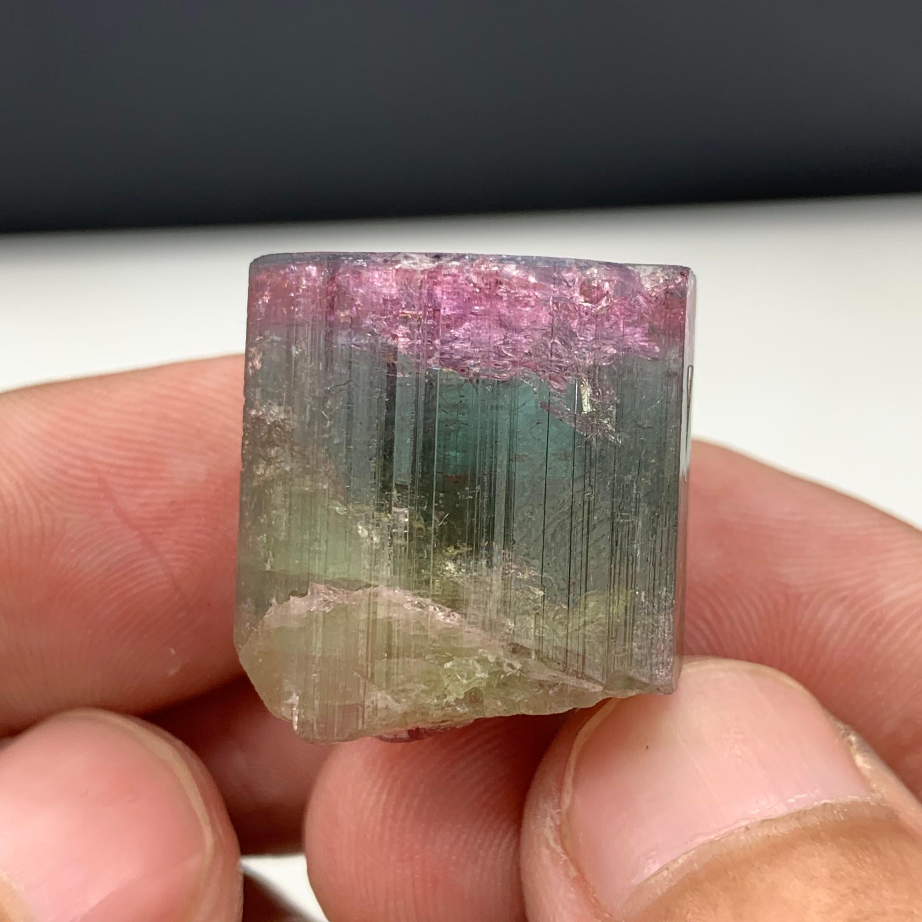 90.50 Carat Beautiful Tri Color Tourmaline Crystal From Afghanistan 
Weight: 90.50 carat 
Dimension: 2.2 x 2.4 x 1.9 Cm
Origin : Afghanistan 
Color: Pink , Green and Orange 

Tourmaline is a crystalline silicate mineral group in which boron is