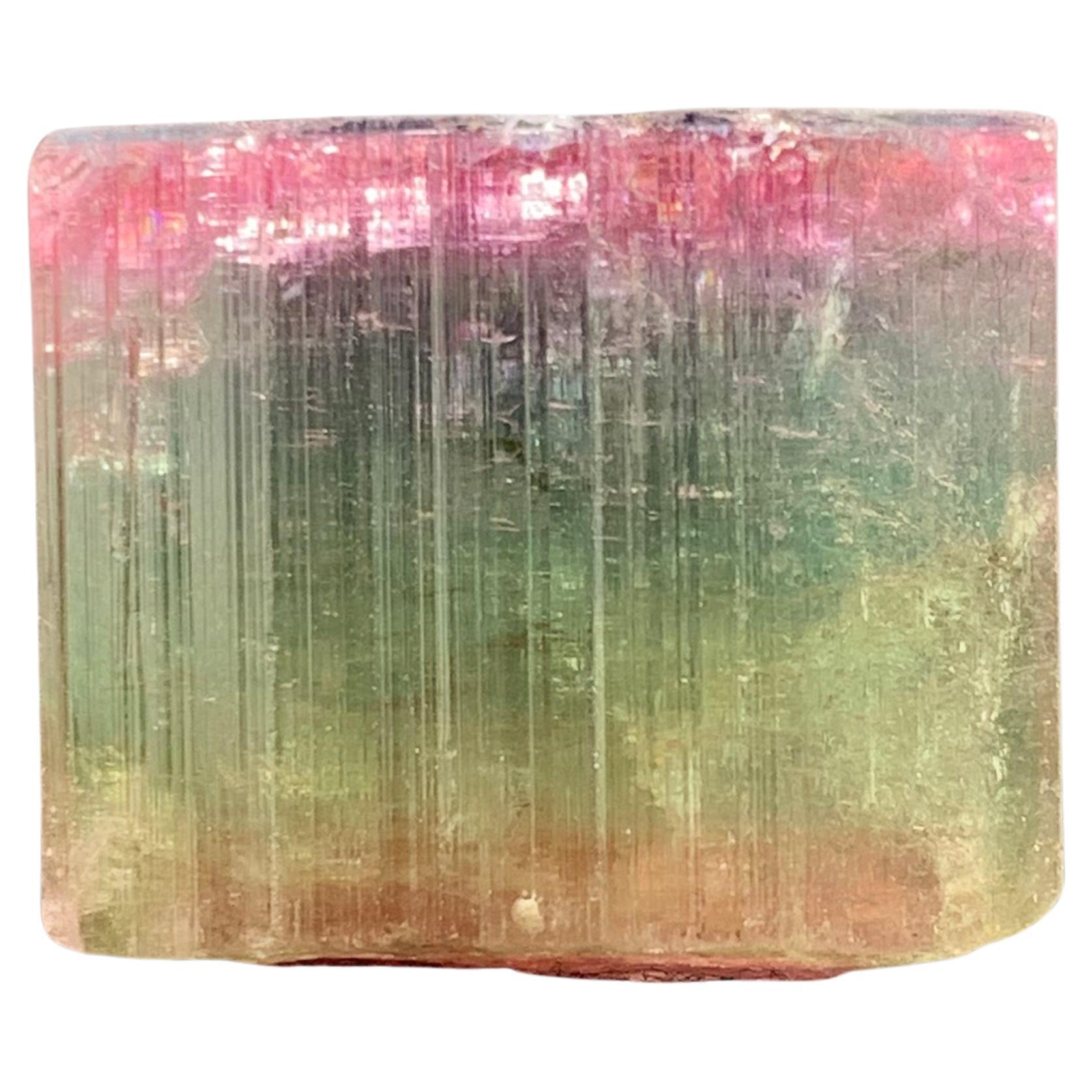Magnifique cristal de tourmaline tricolore de 90,50 carats d'Afghanistan  en vente