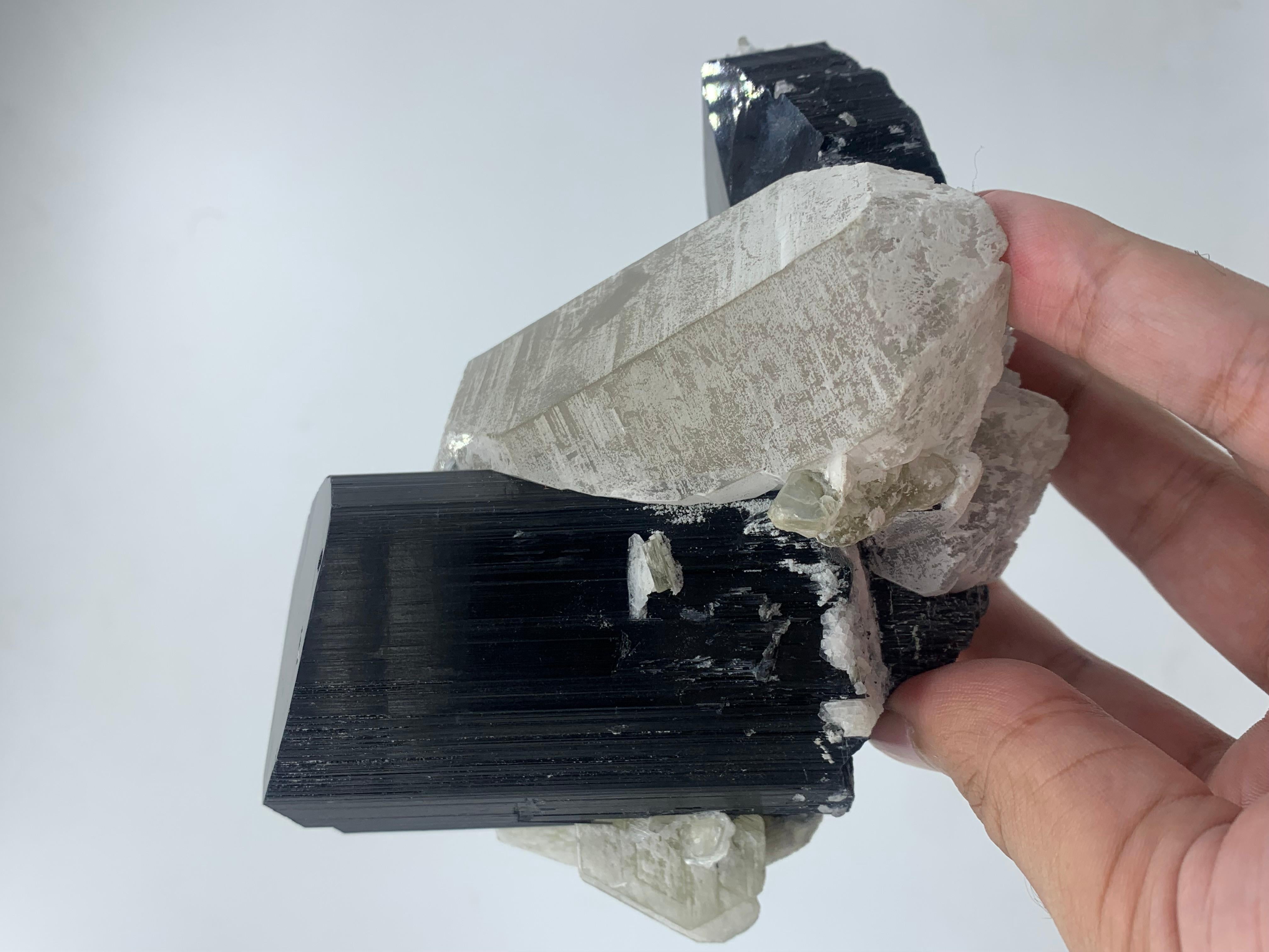 911 Gram Exquisite Black Tourmaline Specimen Attached With Quartz From Pakistan  For Sale 4