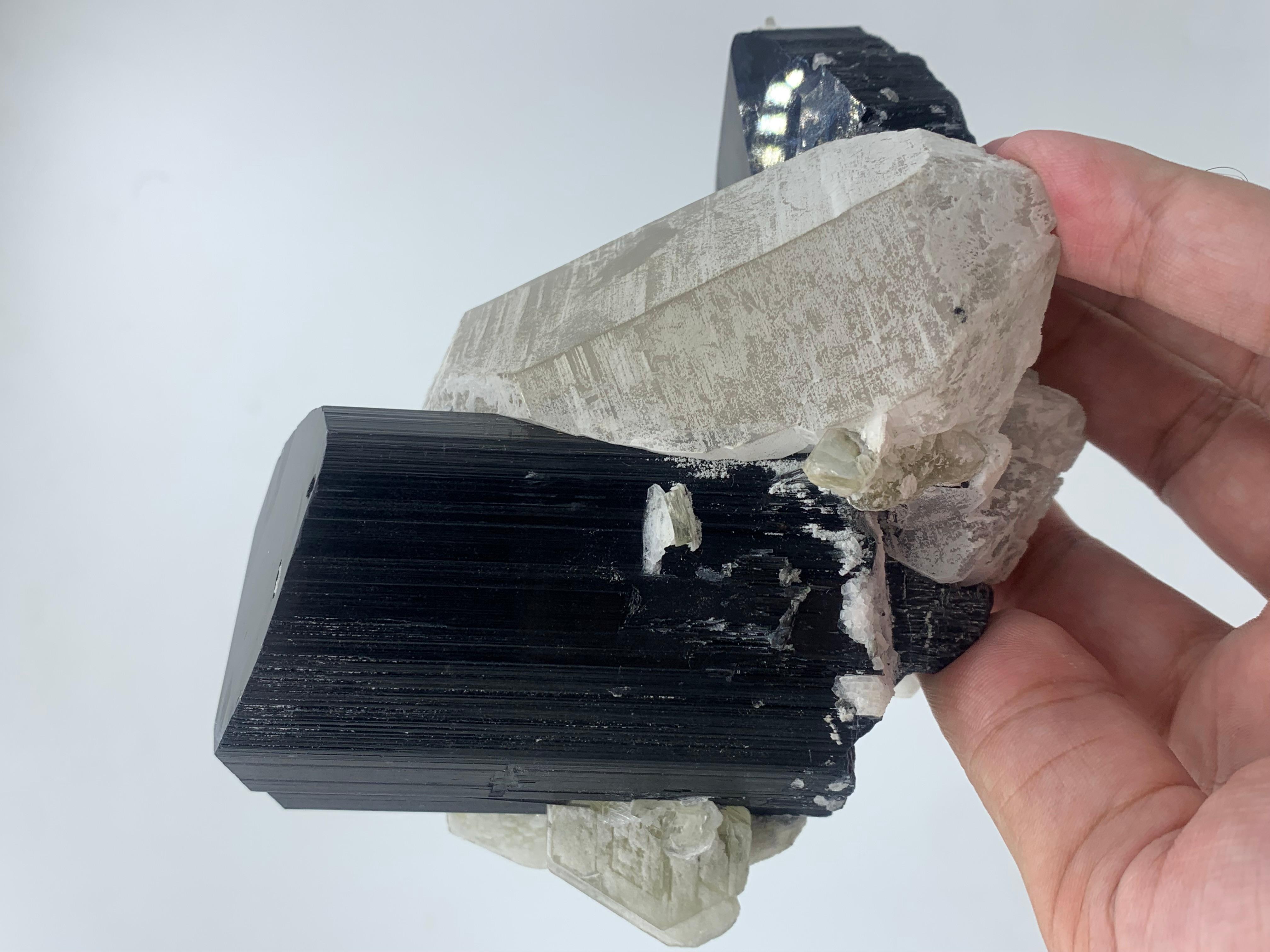 911 Gram Exquisite Black Tourmaline Specimen Attached With Quartz From Pakistan  For Sale 10