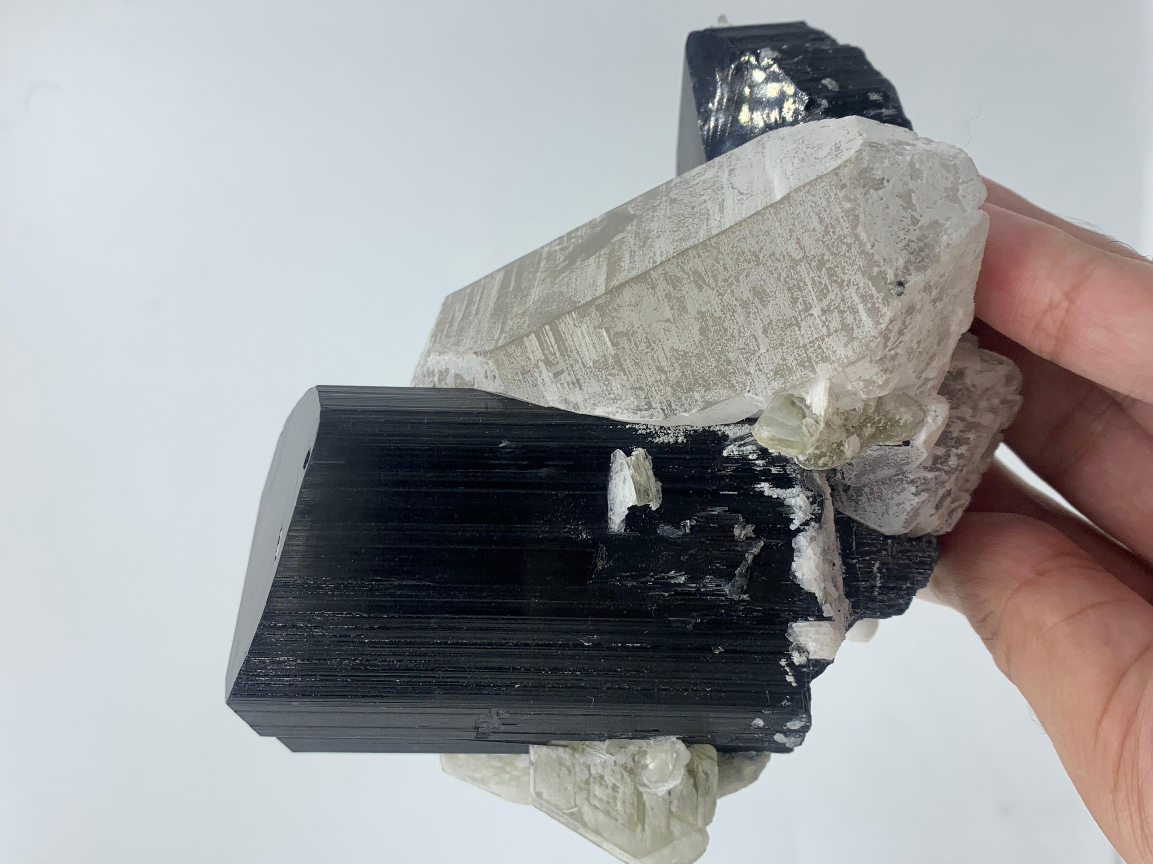 911 Gram Exquisite Black Tourmaline Specimen Attached With Quartz From Pakistan  For Sale 11