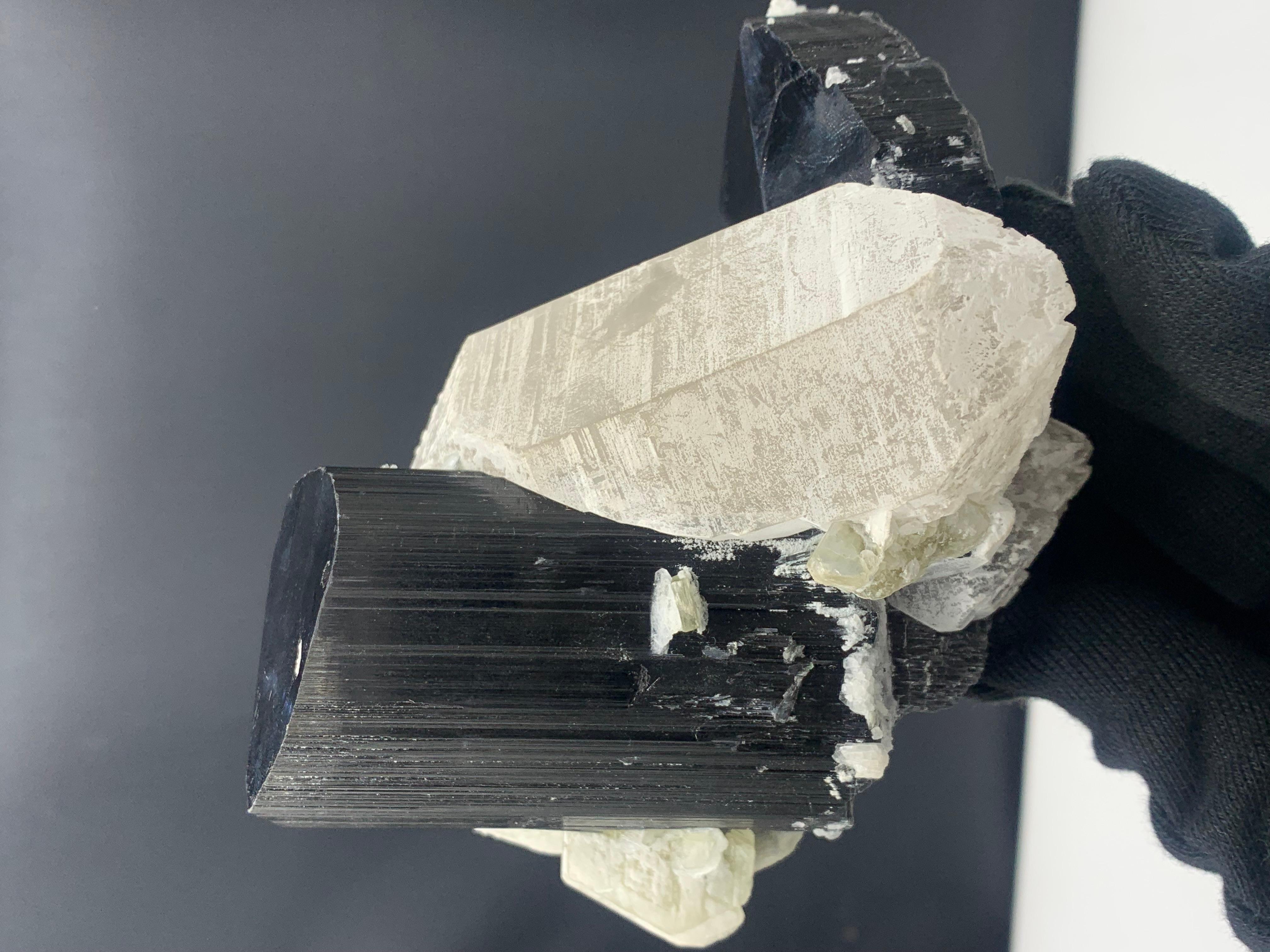 Exquisite schwarze Turmalin-Exemplar 911 Gramm mit Quarzbesatz aus Pakistan 

Gewicht: 911 Gramm
Abmessung: 11.1 x 13 x 8.1 Cm
Herkunft: Skardu, Pakistan 

Turmalin ist ein kristallines Silikatmineral, in dem Bor mit Elementen wie Aluminium, Eisen,