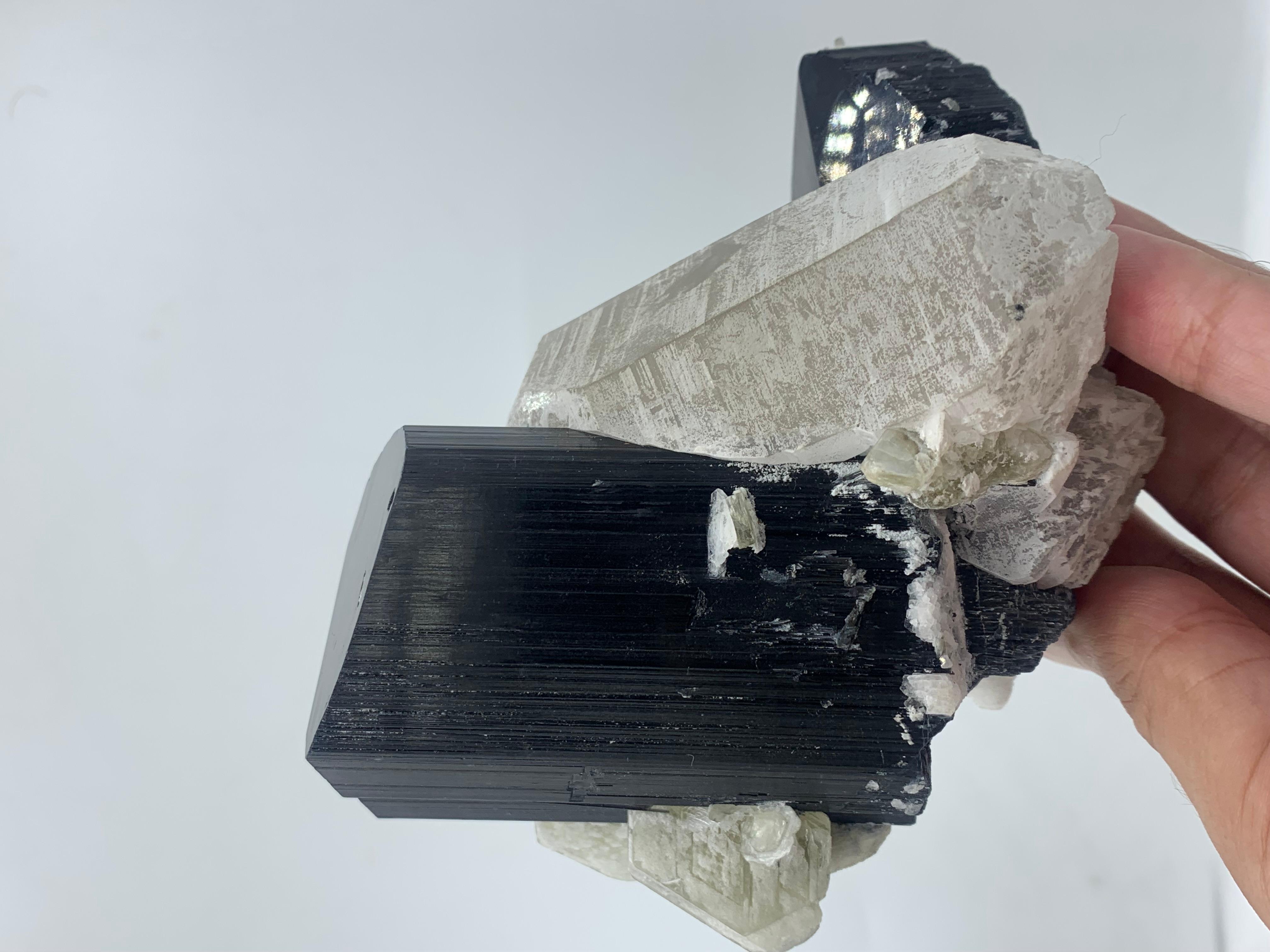 911 Gram Exquisite Black Tourmaline Specimen Attached With Quartz From Pakistan  For Sale 12