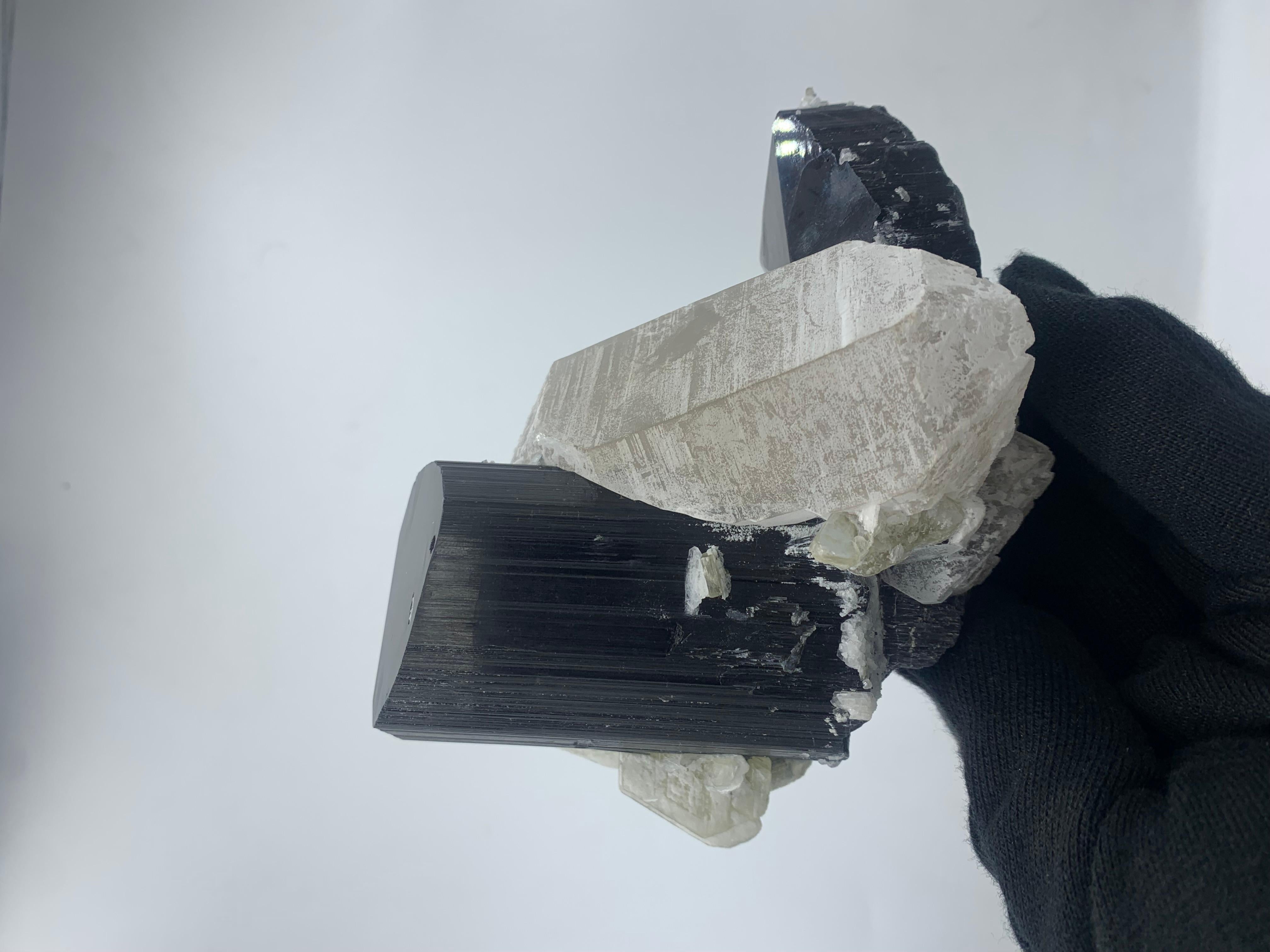 Pakistani 911 Gram Exquisite Black Tourmaline Specimen Attached With Quartz From Pakistan For Sale
